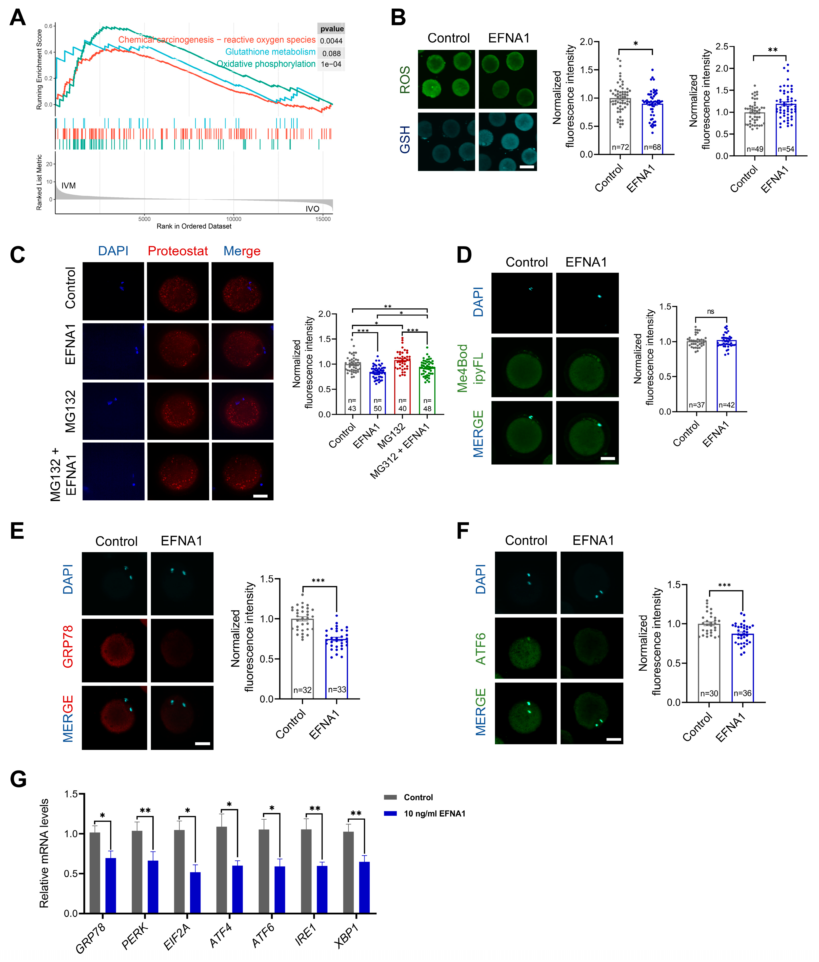 Antioxidants 14 01499 g006 Antioxidants 14 01499 g006
