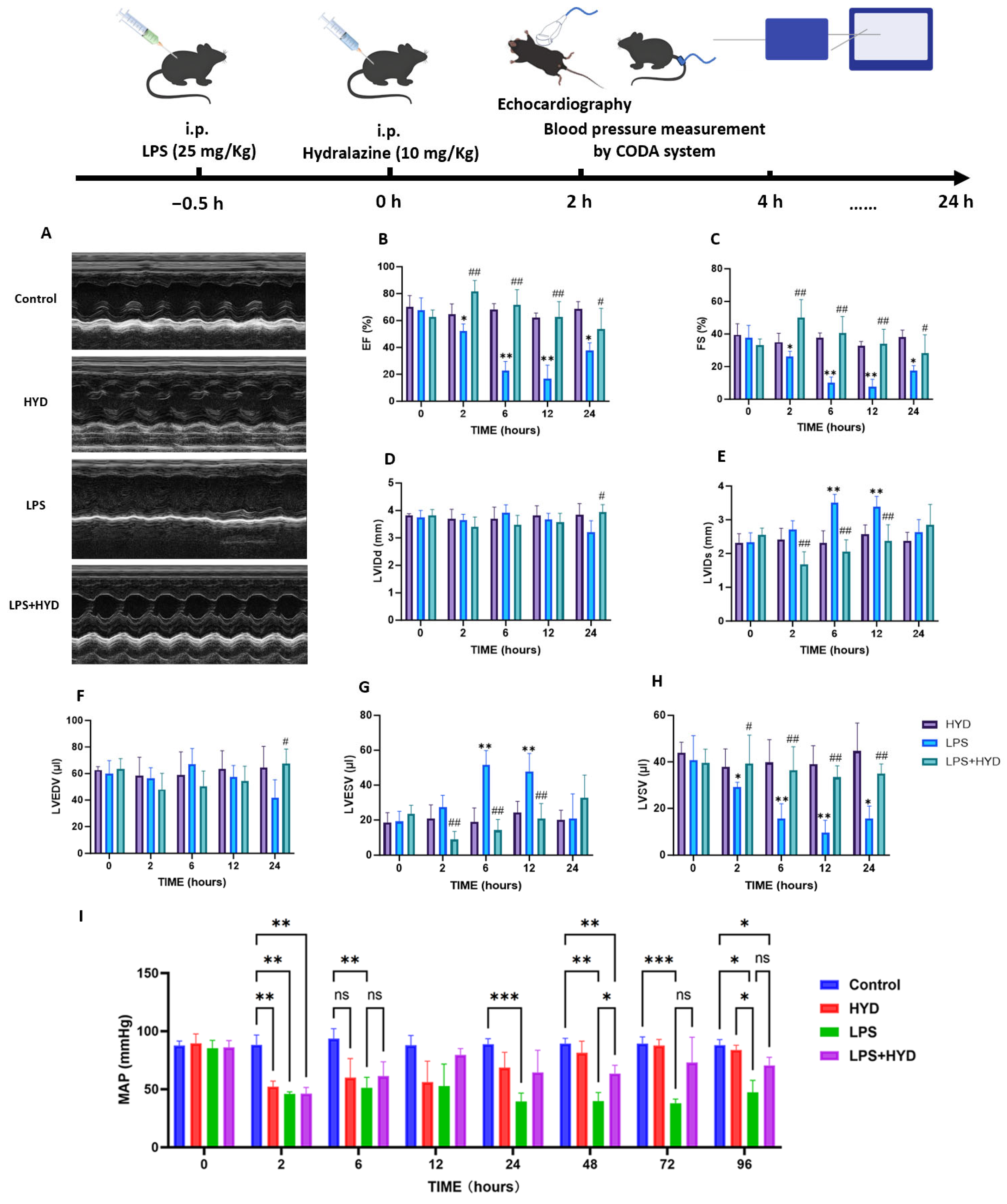 Antioxidants 14 01502 g002 Antioxidants 14 01502 g002