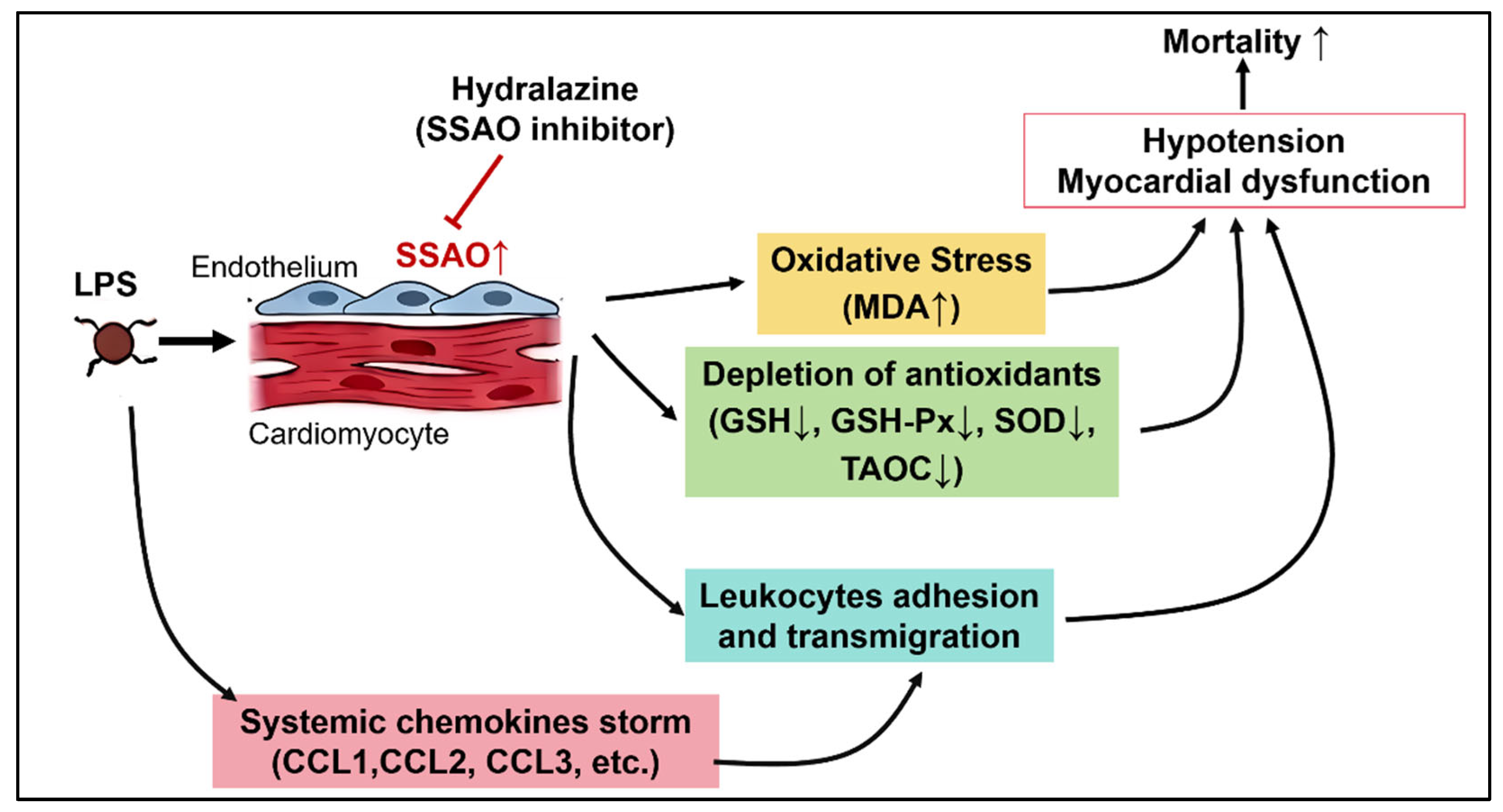 Antioxidants 14 01502 g009 Antioxidants 14 01502 g009