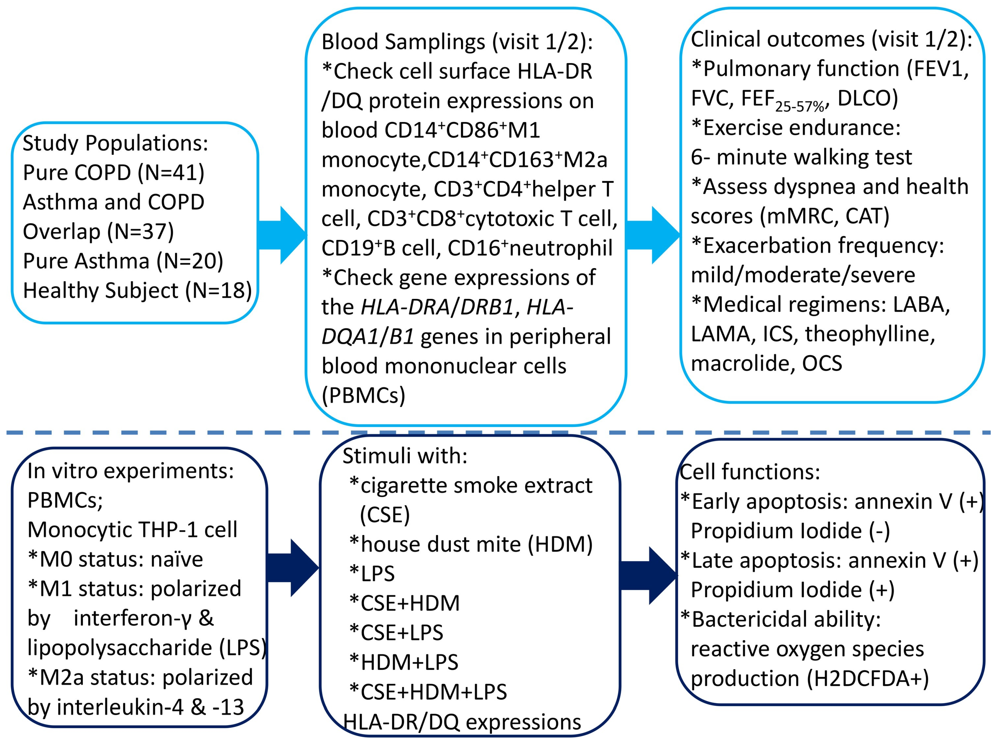 Antioxidants 14 01507 g001 Antioxidants 14 01507 g001