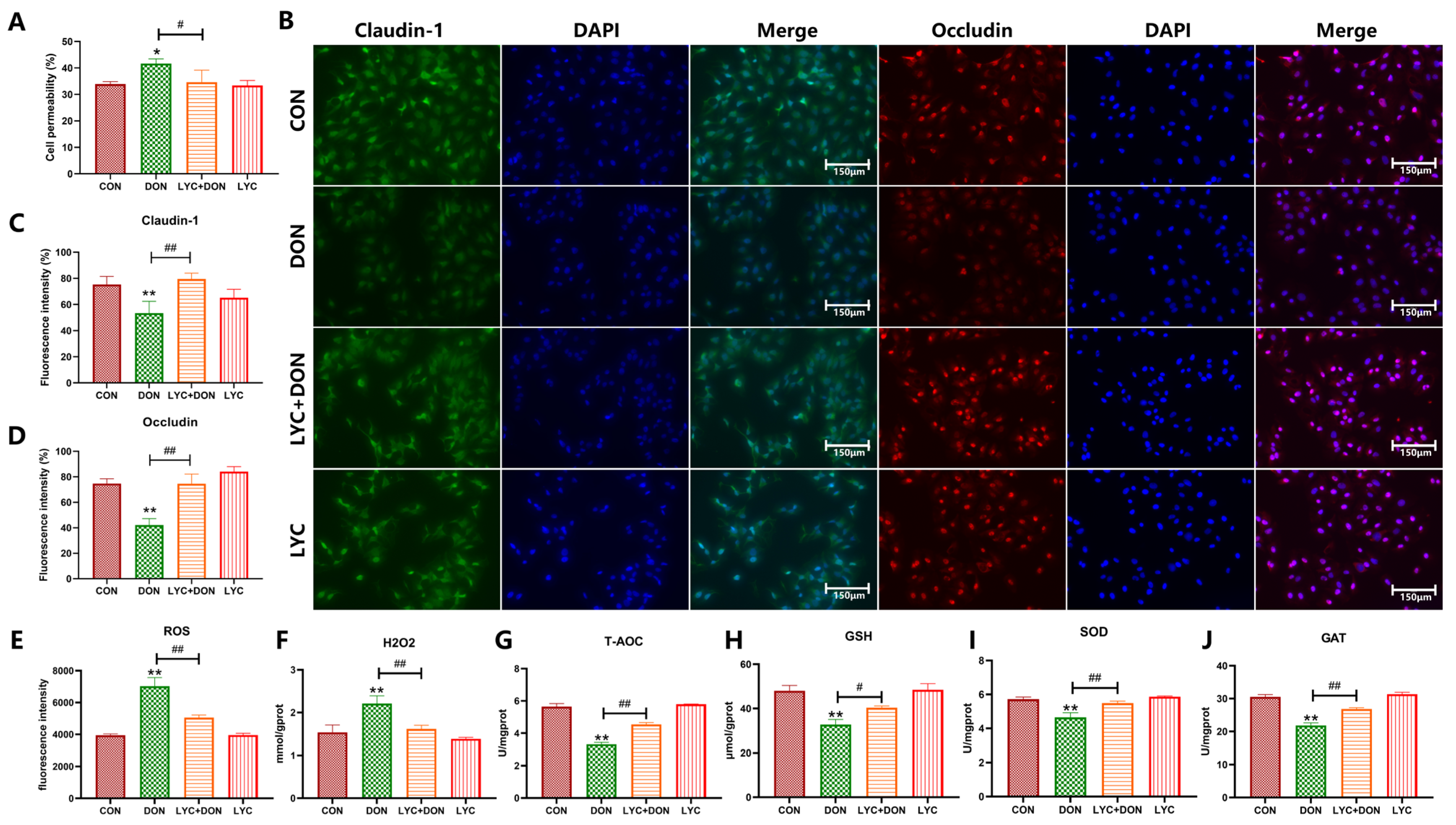 Antioxidants 14 01513 g001 Antioxidants 14 01513 g001