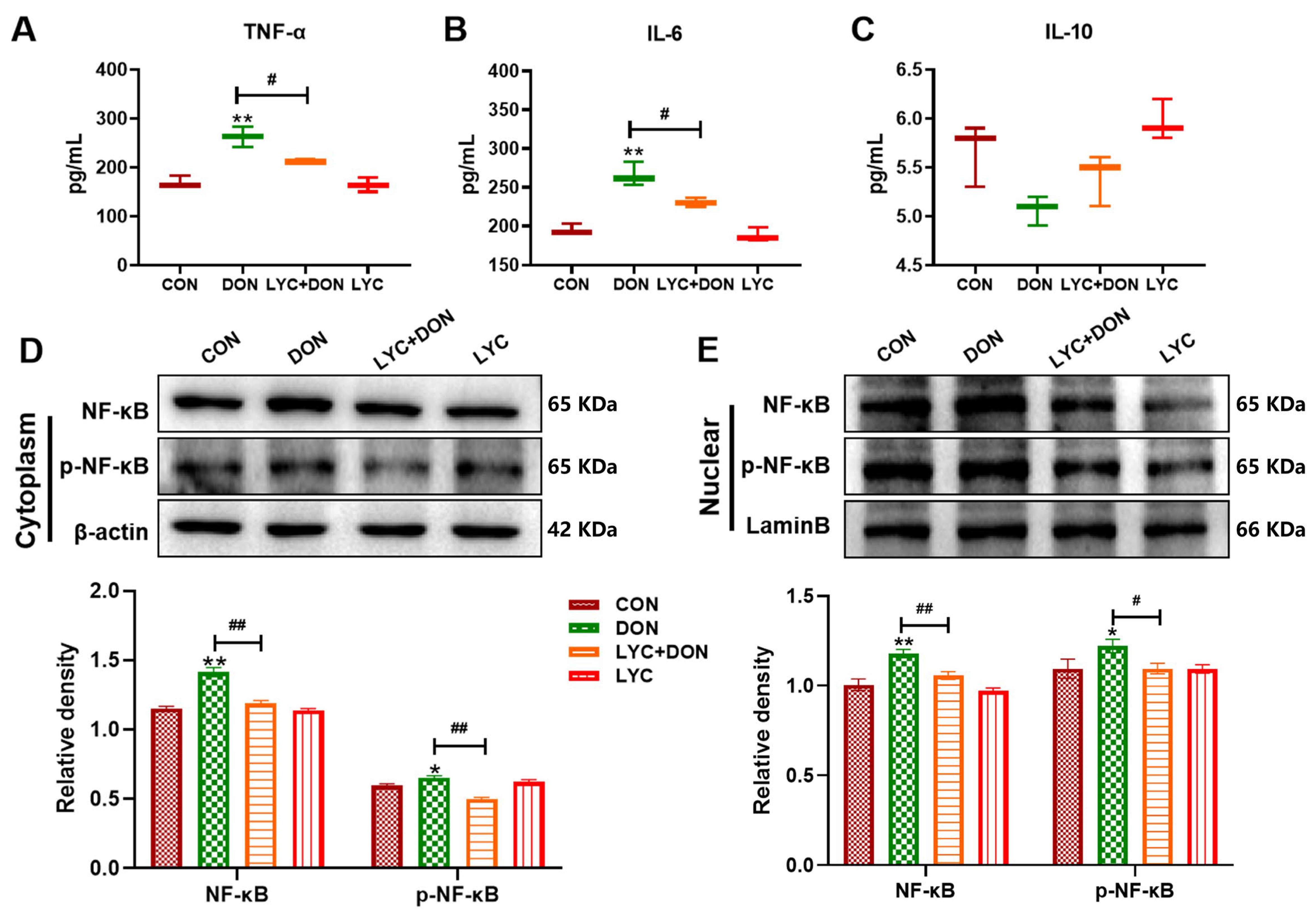 Antioxidants 14 01513 g002 Antioxidants 14 01513 g002