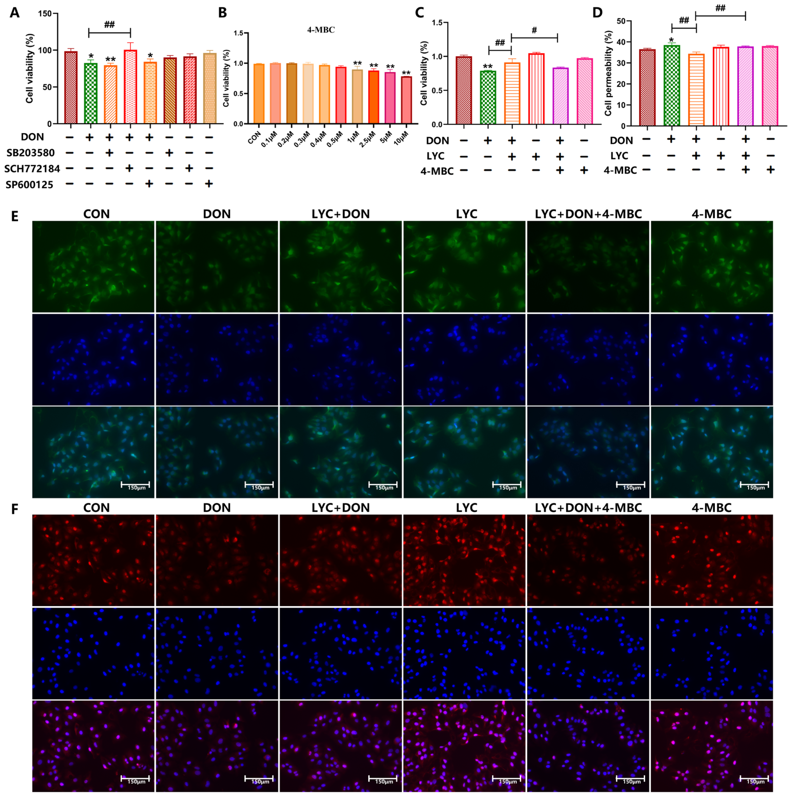 Antioxidants 14 01513 g005 Antioxidants 14 01513 g005