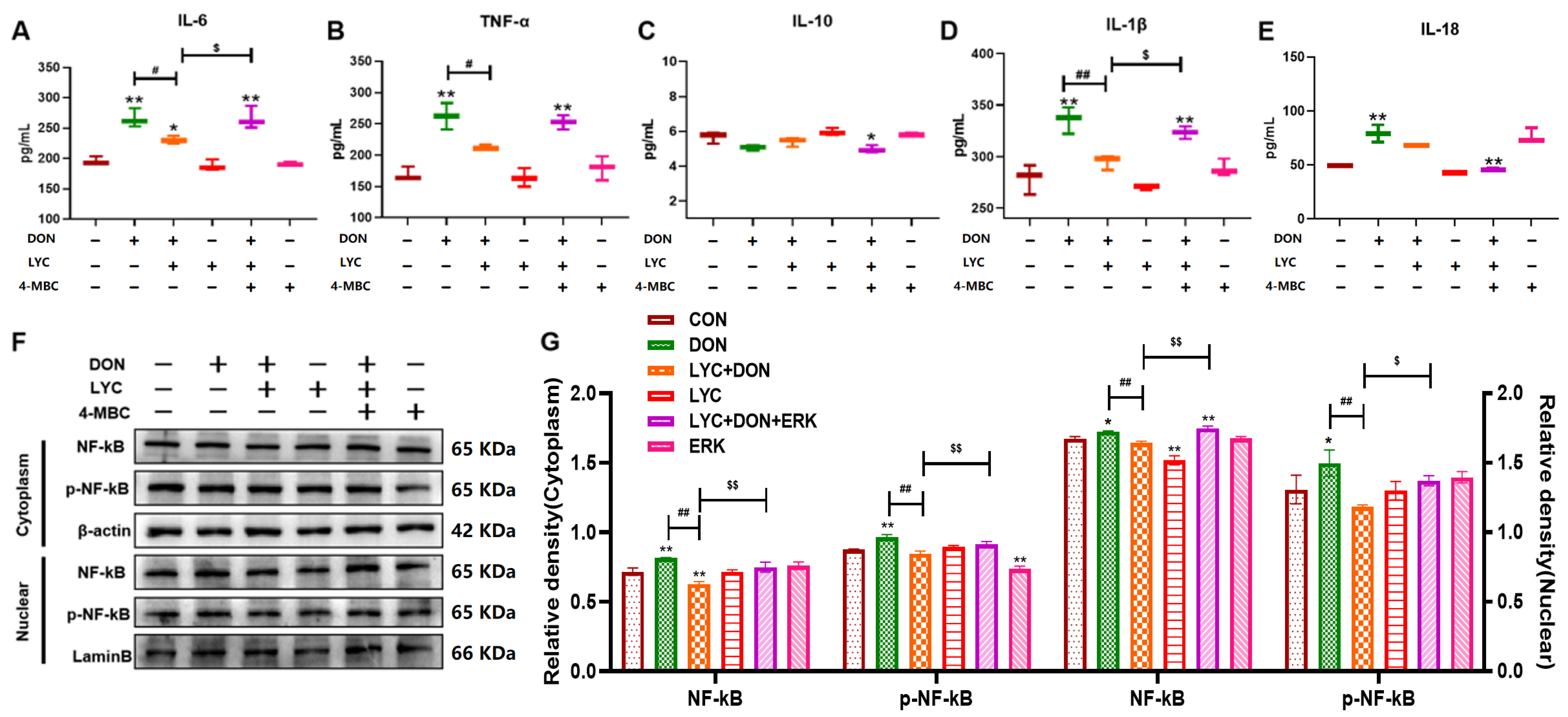 Antioxidants 14 01513 g006 Antioxidants 14 01513 g006