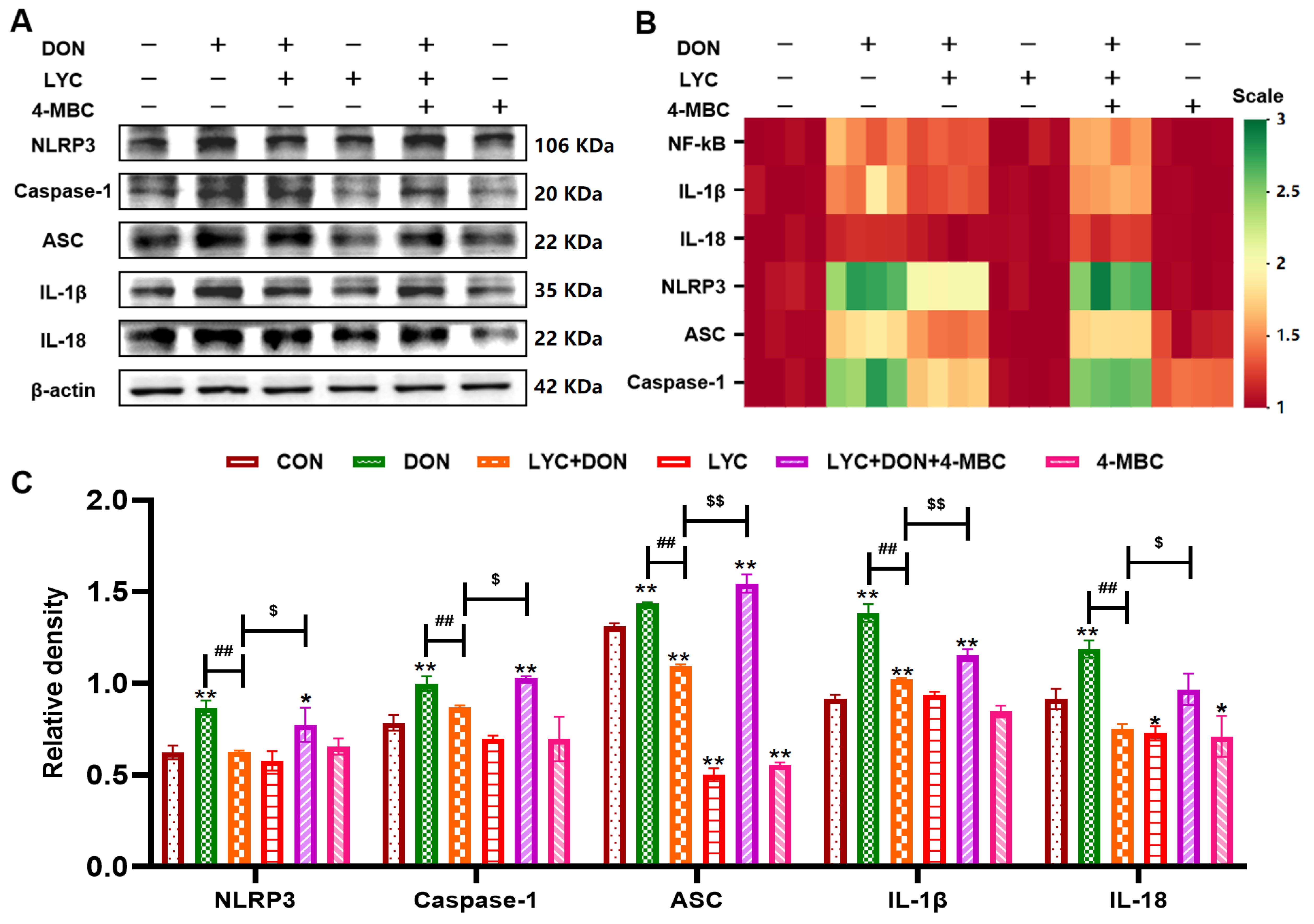 Antioxidants 14 01513 g007 Antioxidants 14 01513 g007
