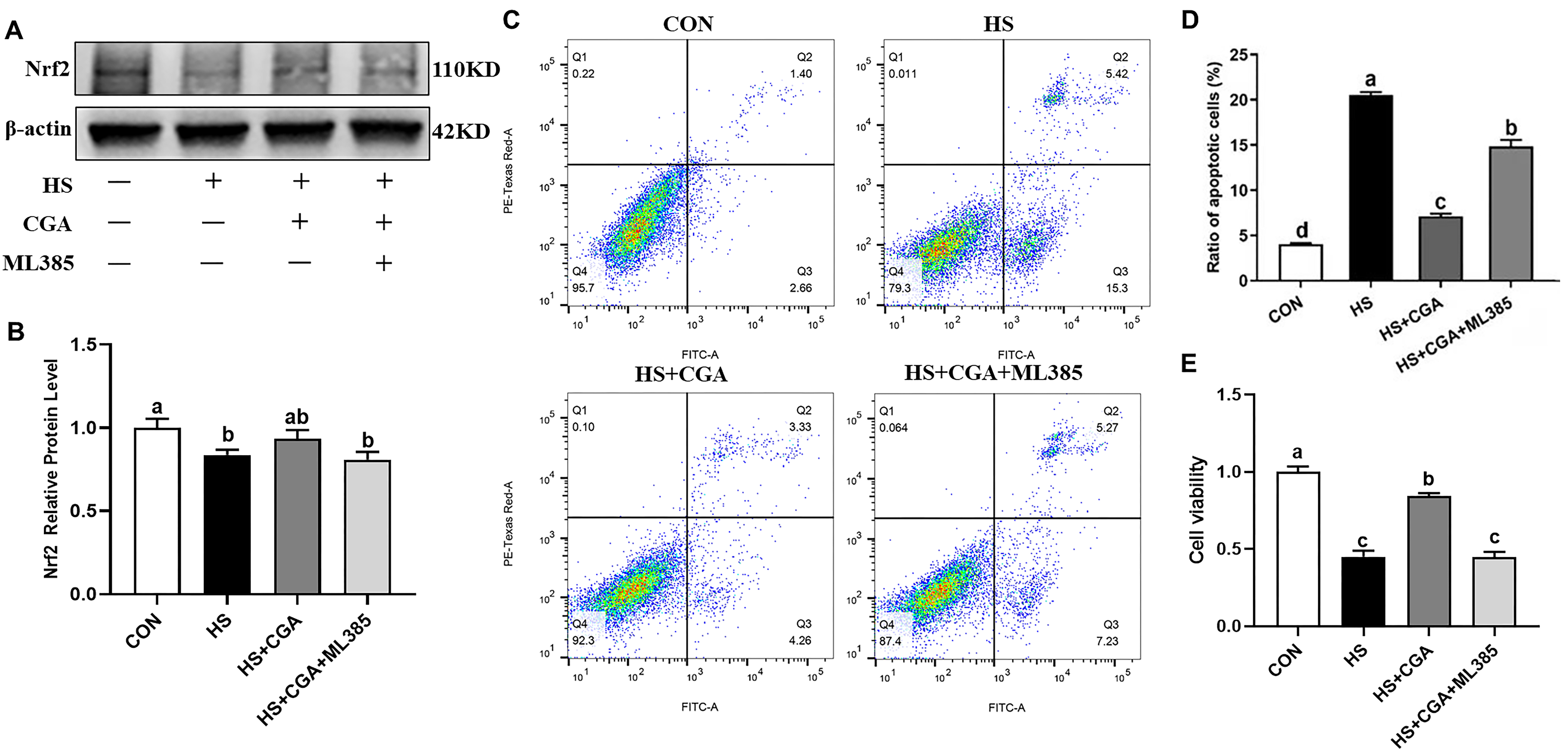 Antioxidants 15 00002 g008