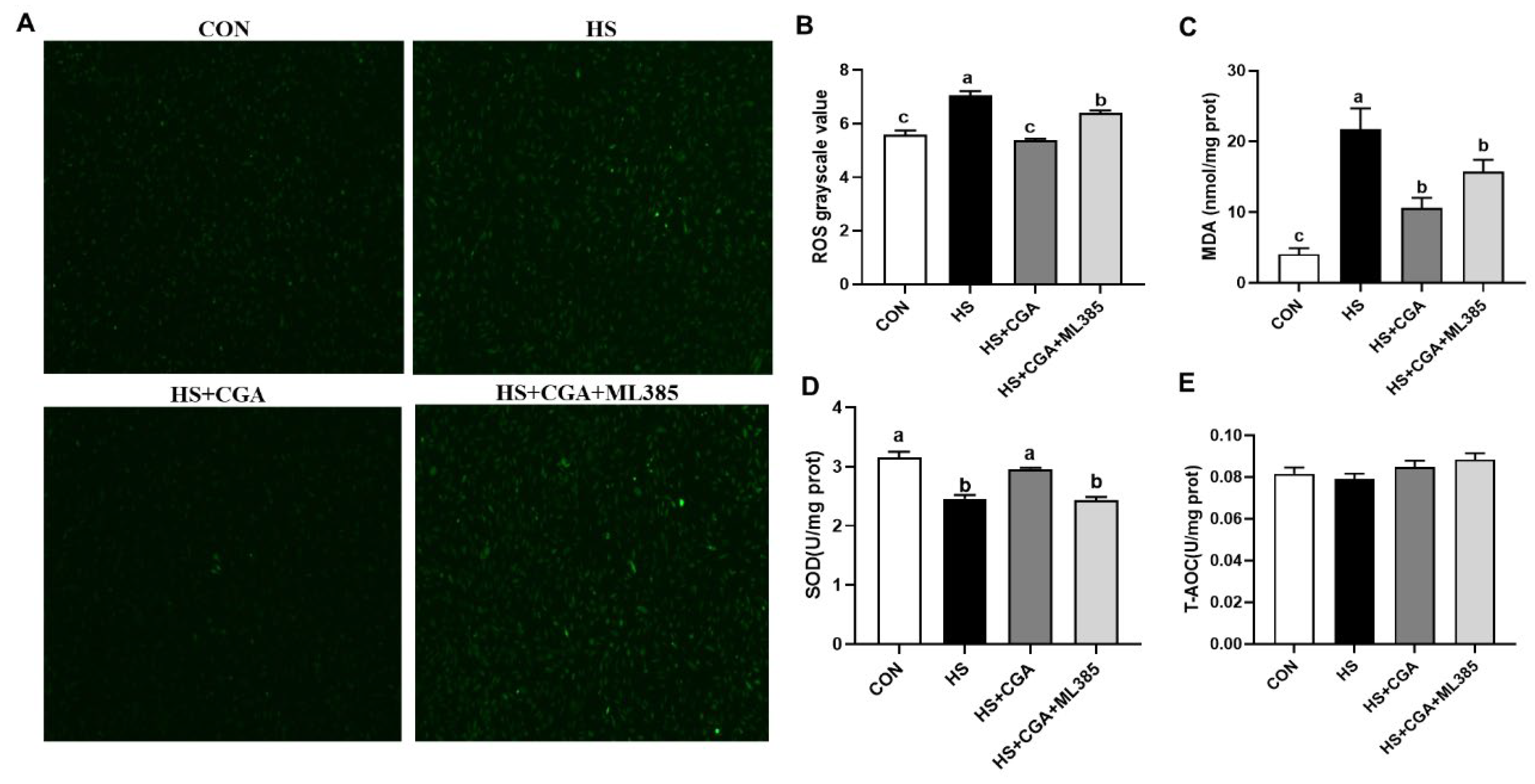 Antioxidants 15 00002 g009