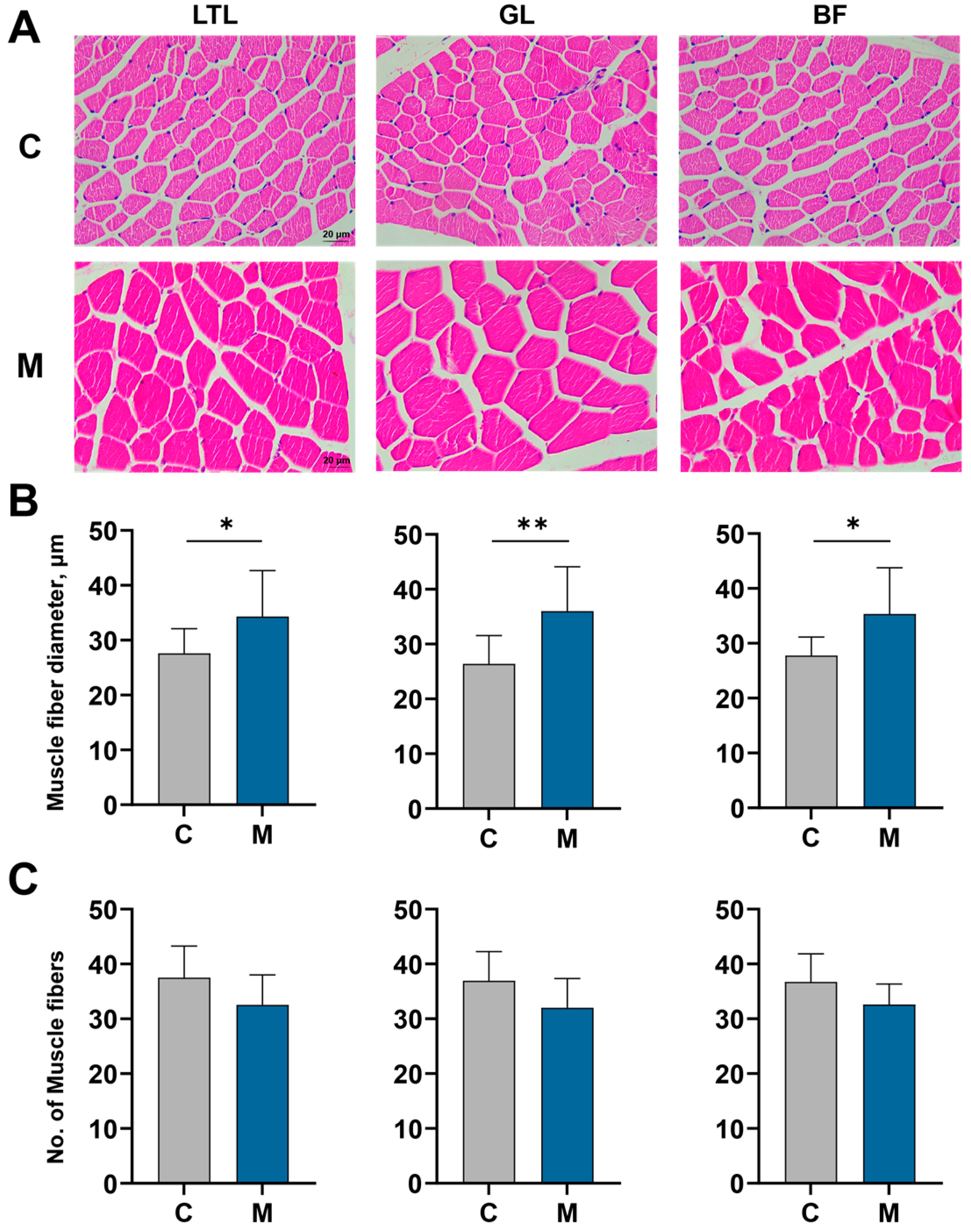 Antioxidants 15 00011 g001