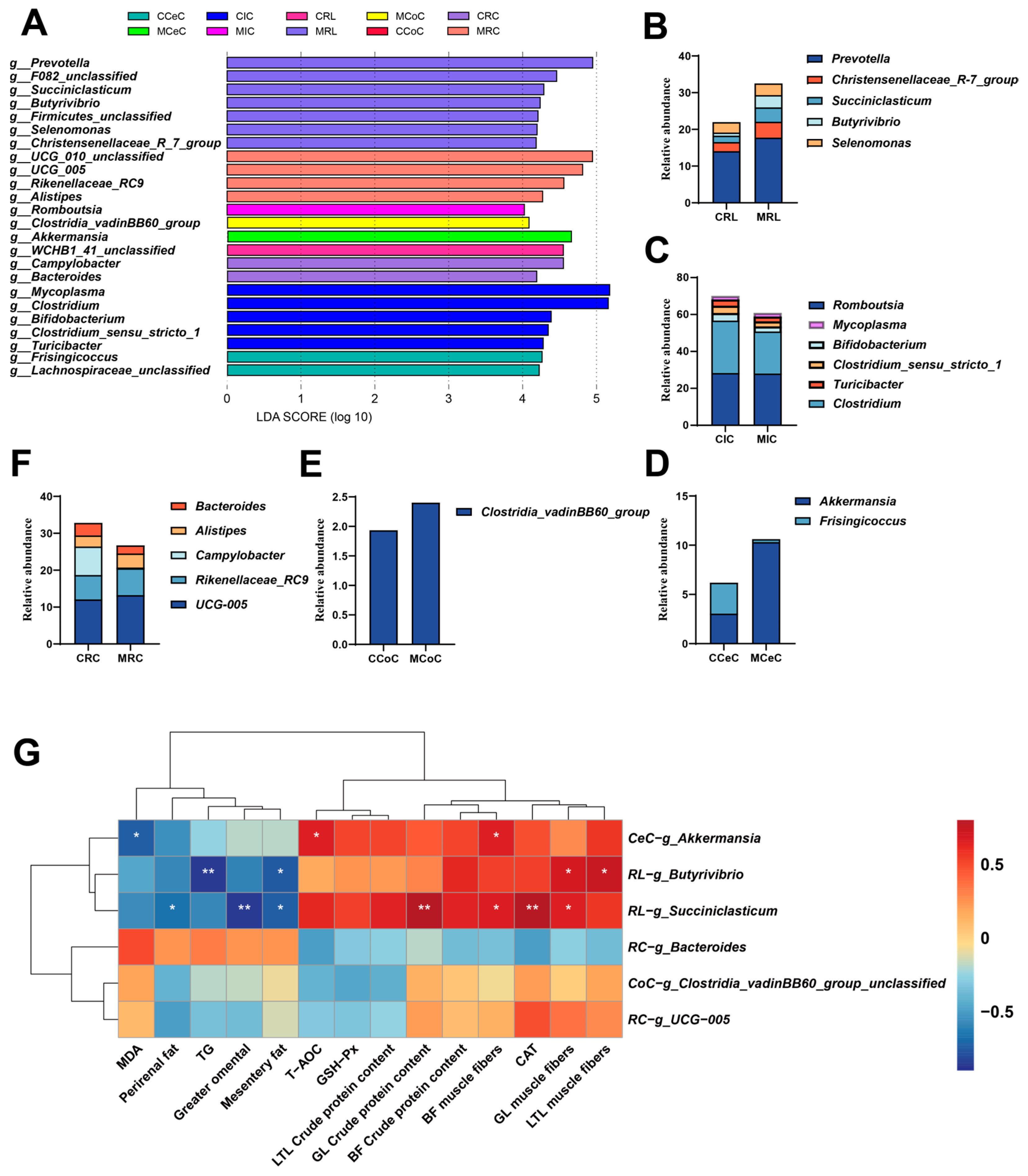 Antioxidants 15 00011 g005