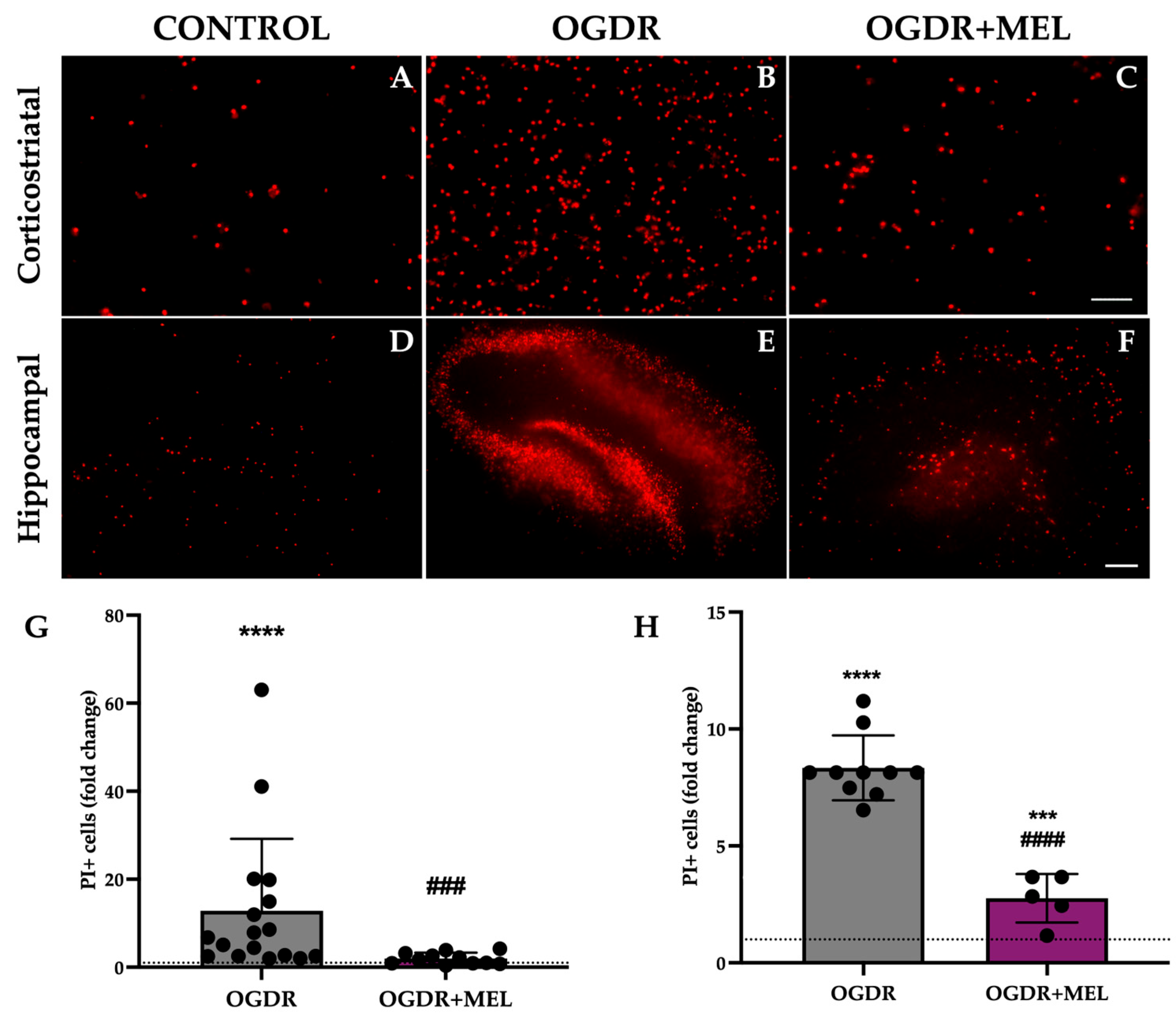 Antioxidants 15 00013 g001