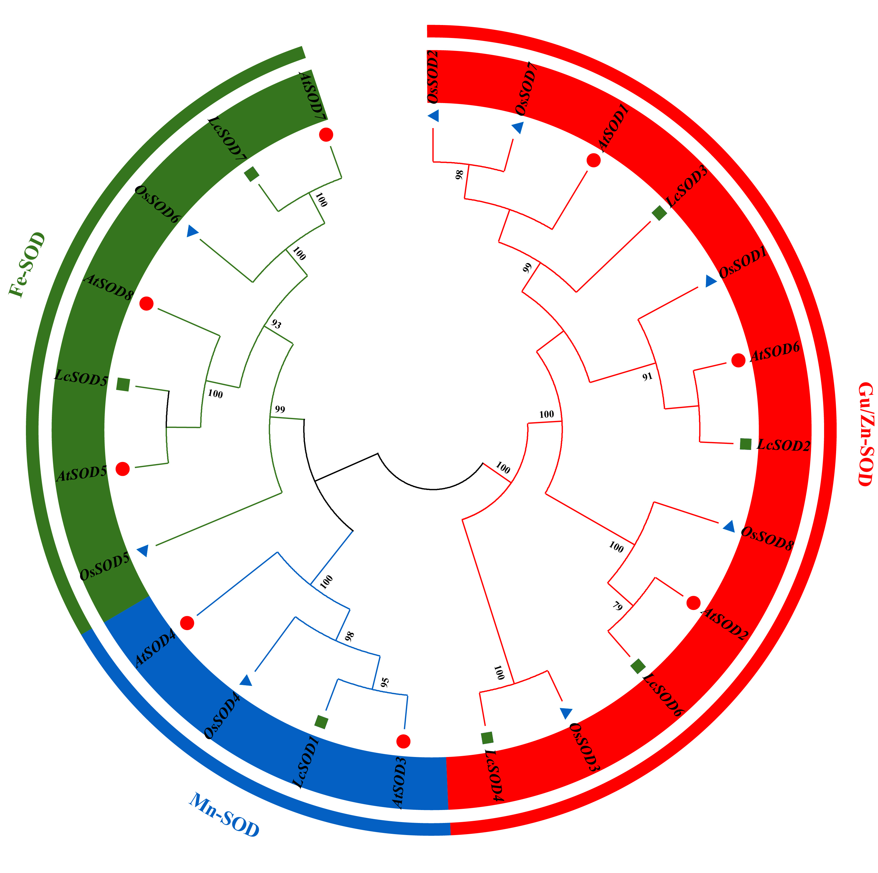 Antioxidants 15 00014 g001