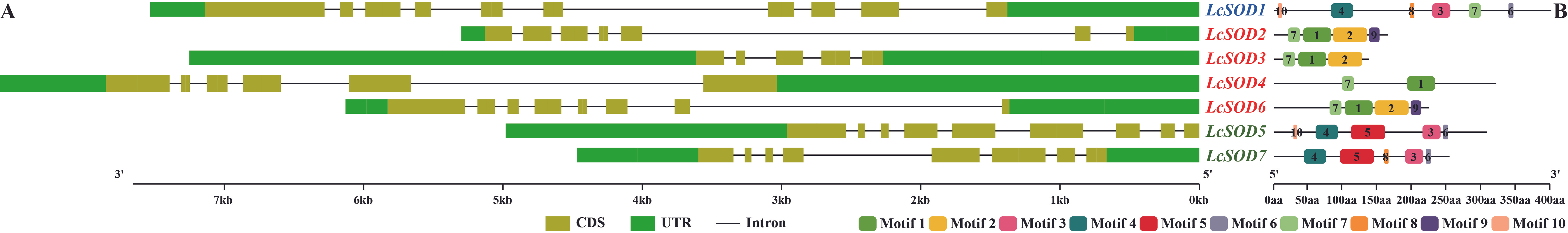 Antioxidants 15 00014 g004