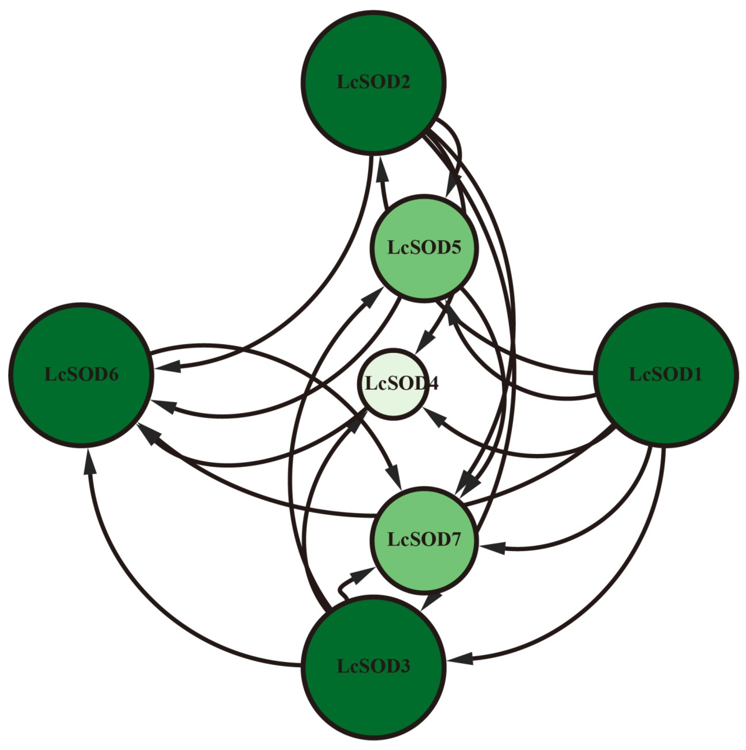 Antioxidants 15 00014 g006