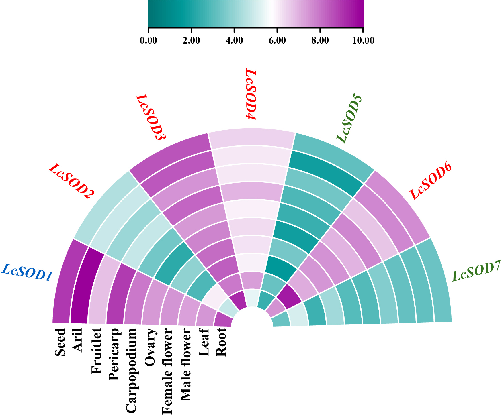 Antioxidants 15 00014 g008