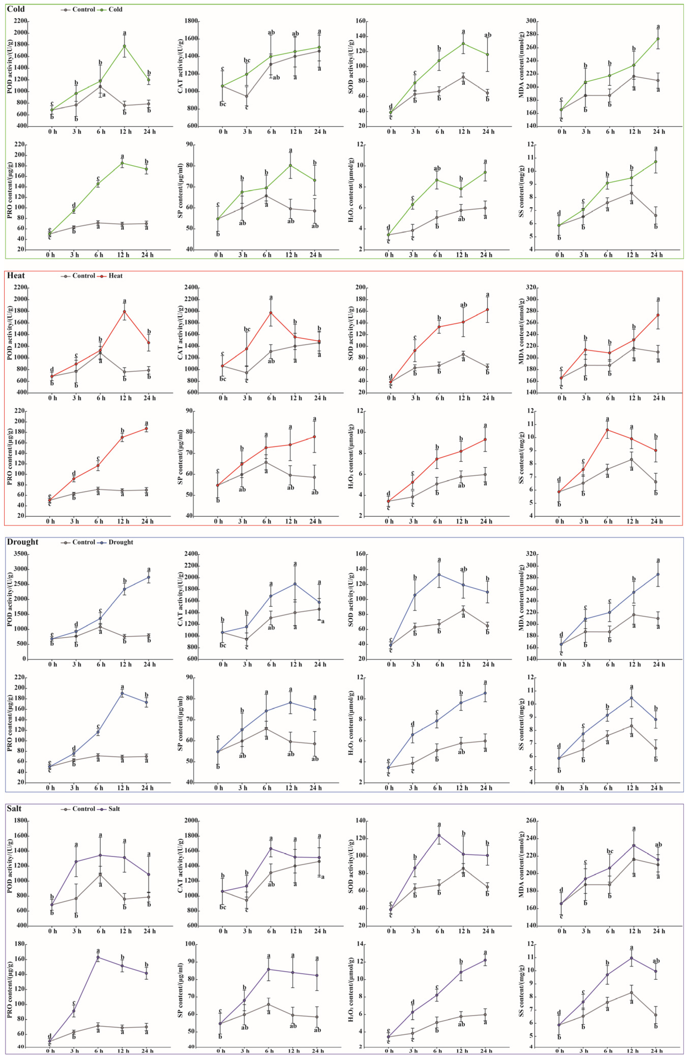 Antioxidants 15 00014 g010