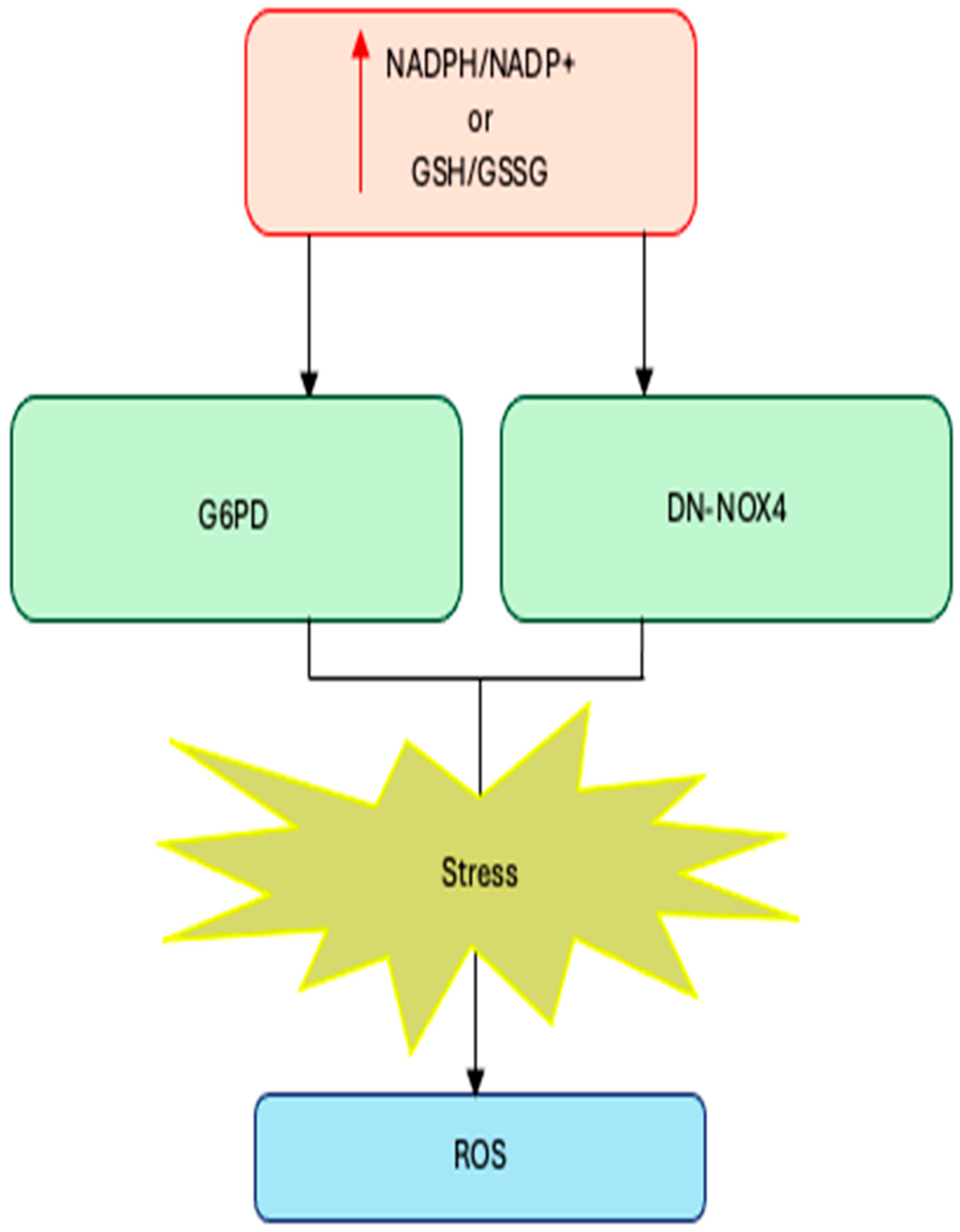 Antioxidants 15 00017 g001