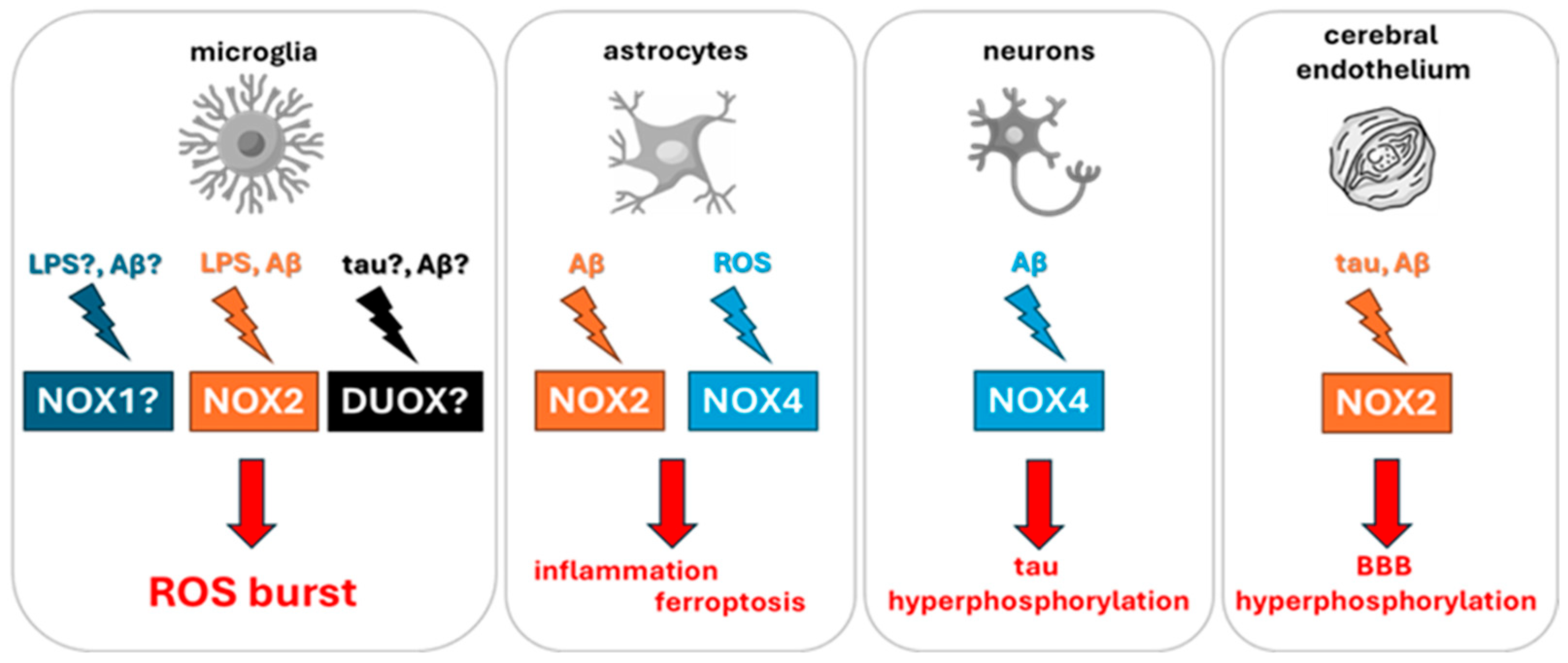Antioxidants 15 00017 g002