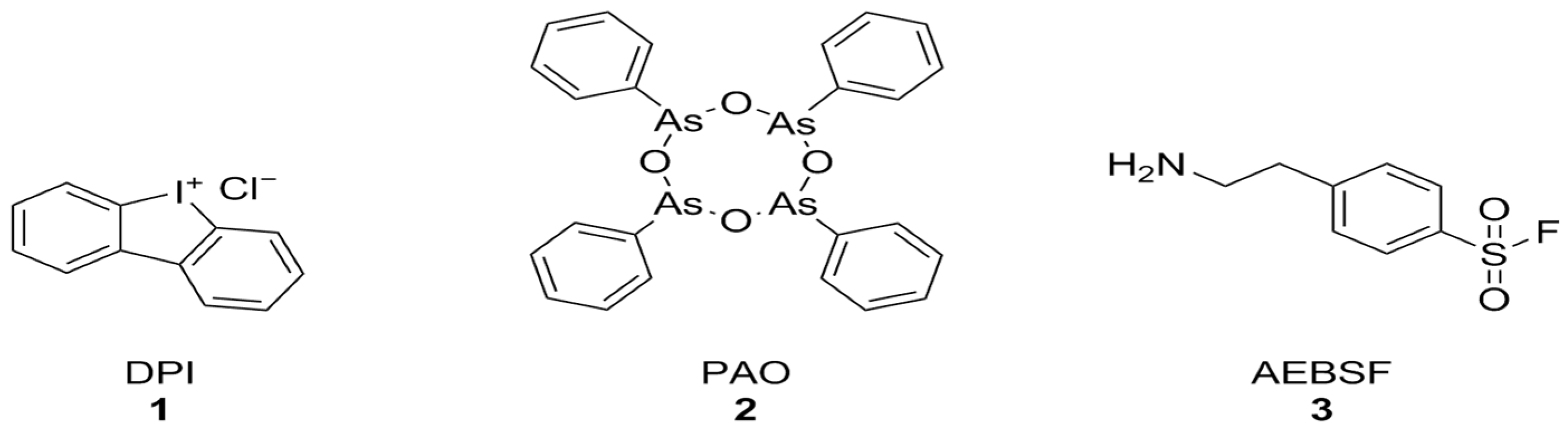 Antioxidants 15 00017 g003