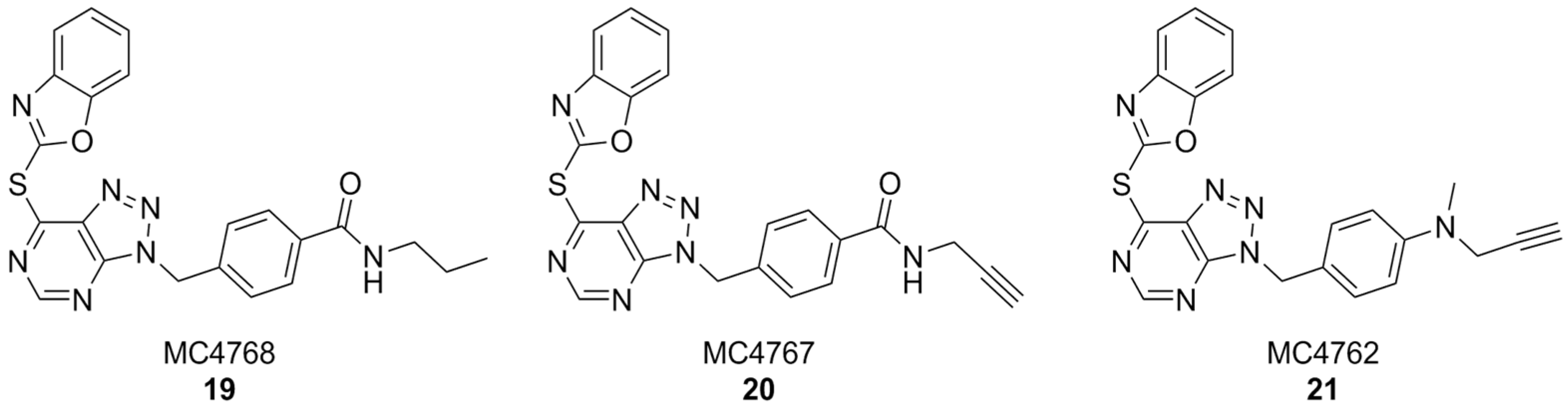 Antioxidants 15 00017 g008