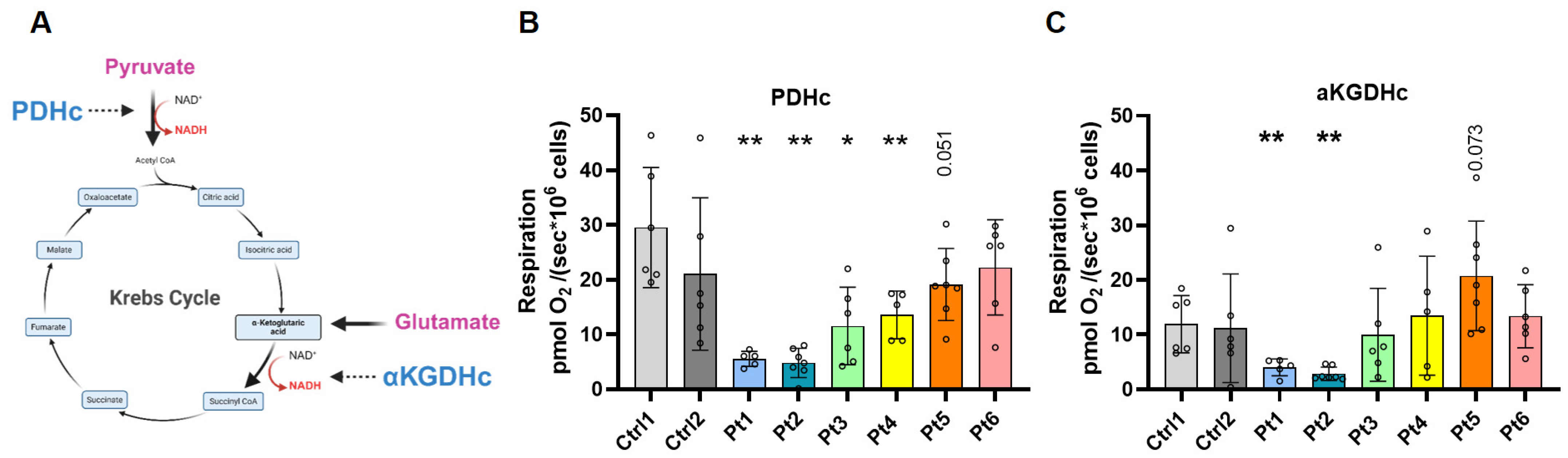 Antioxidants 15 00019 g003