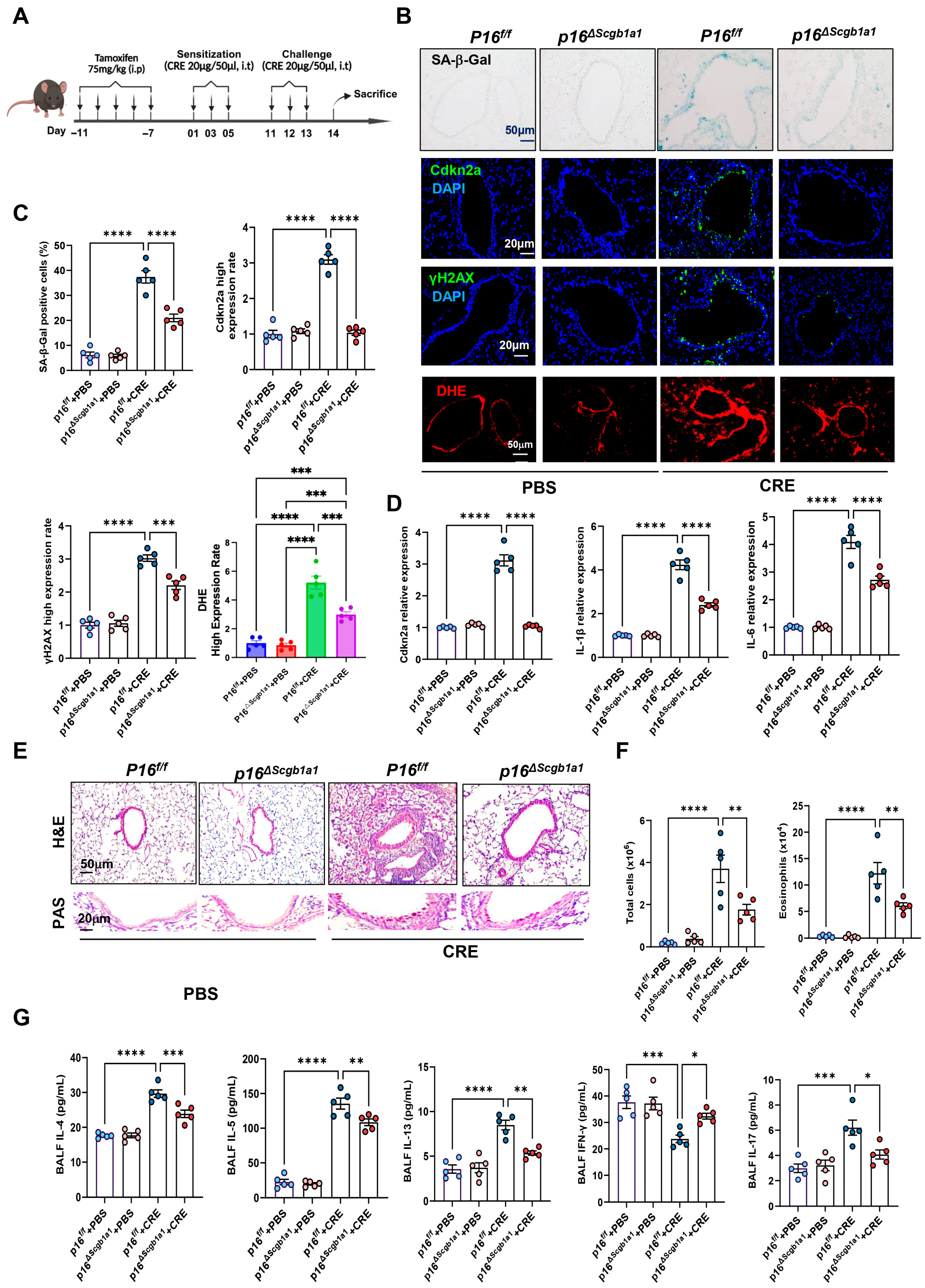 Antioxidants 15 00022 g002