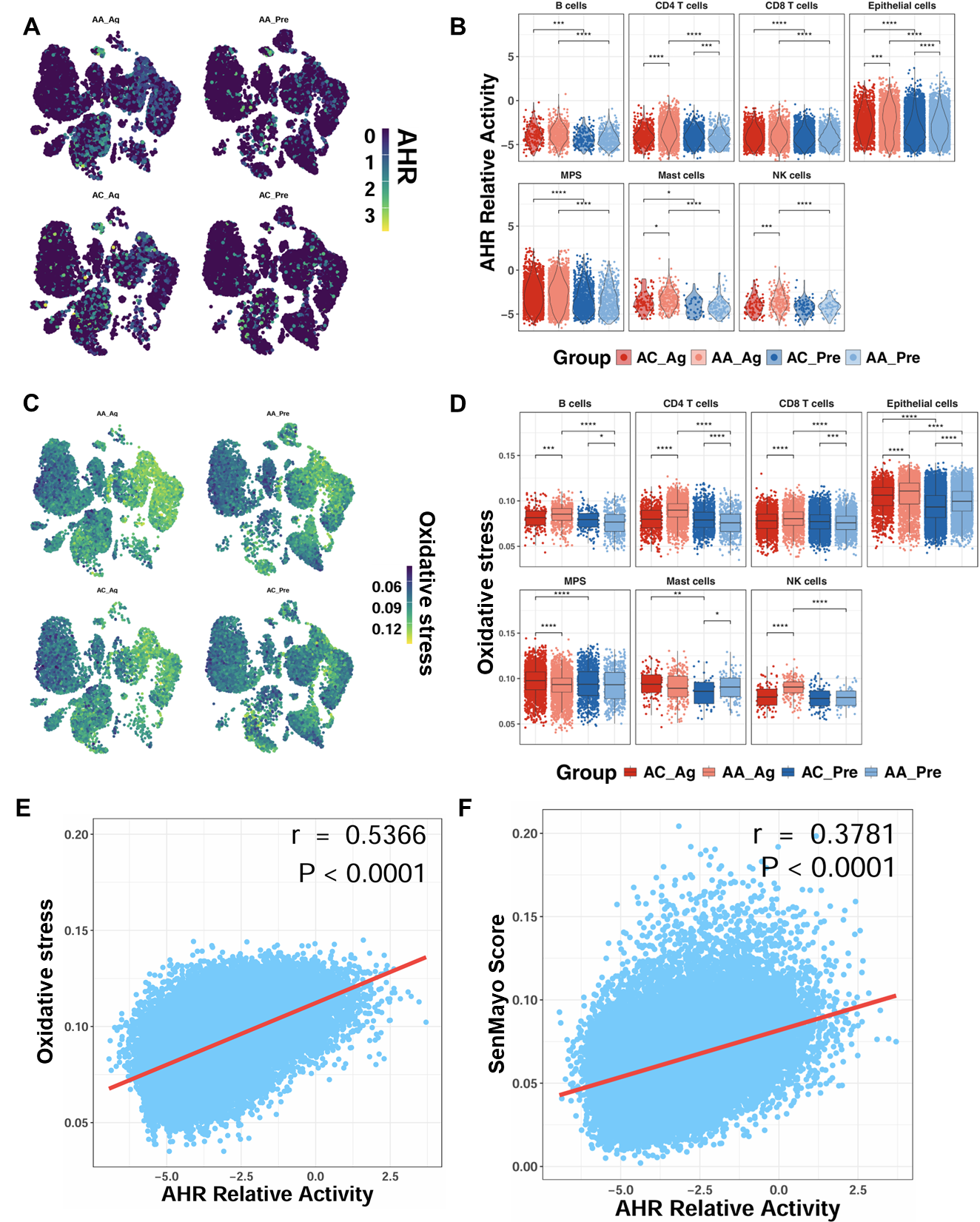 Antioxidants 15 00022 g003