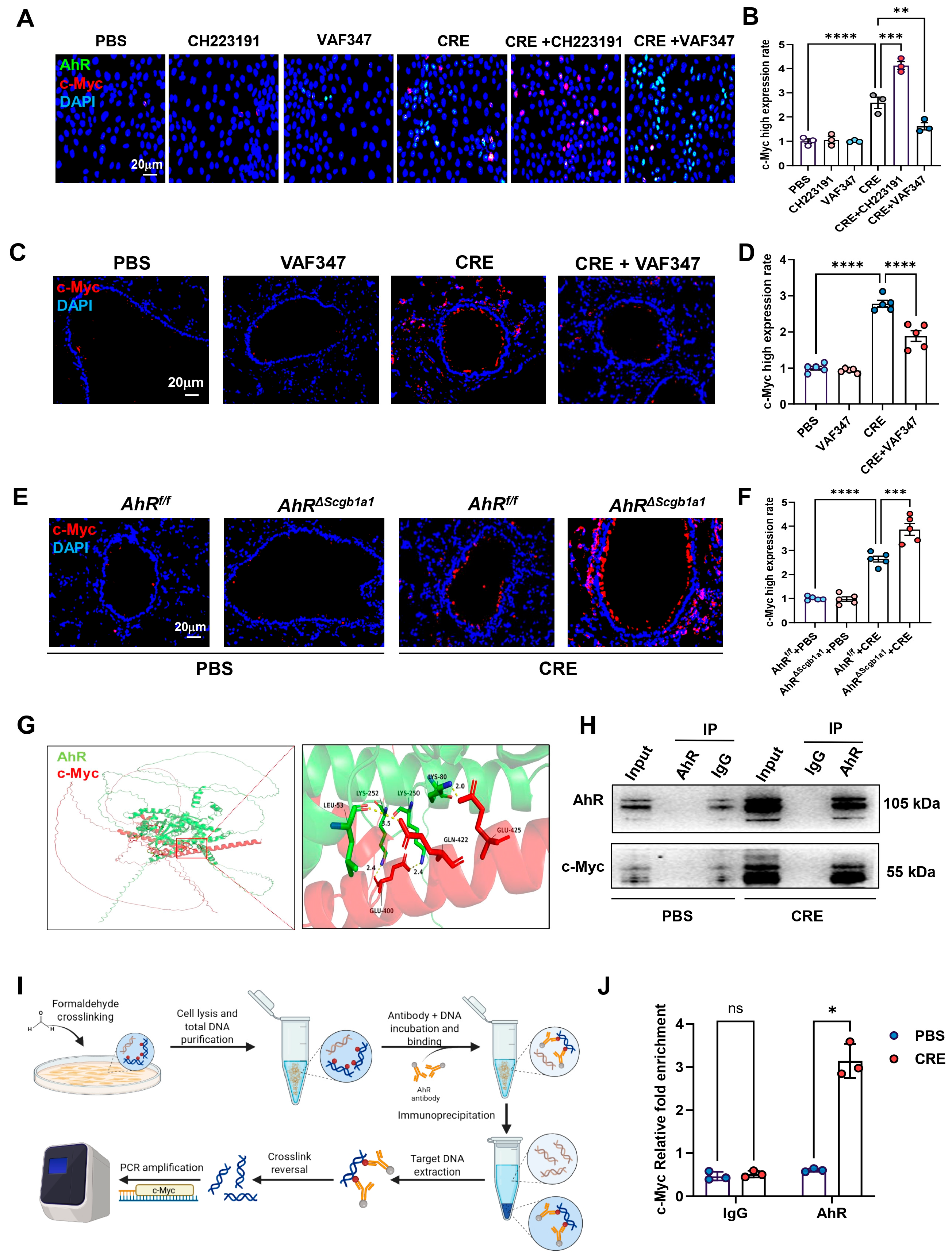 Antioxidants 15 00022 g006