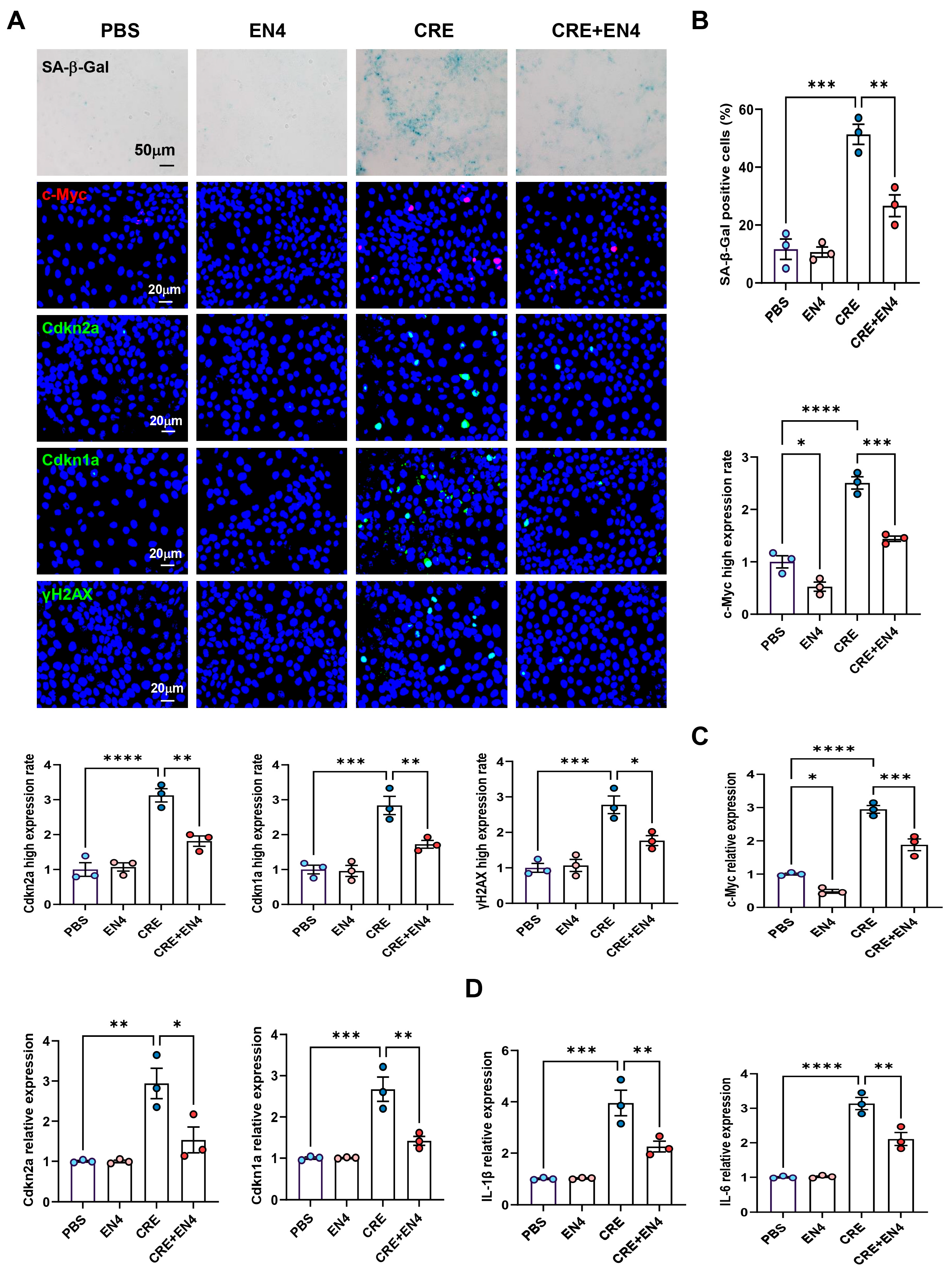 Antioxidants 15 00022 g007