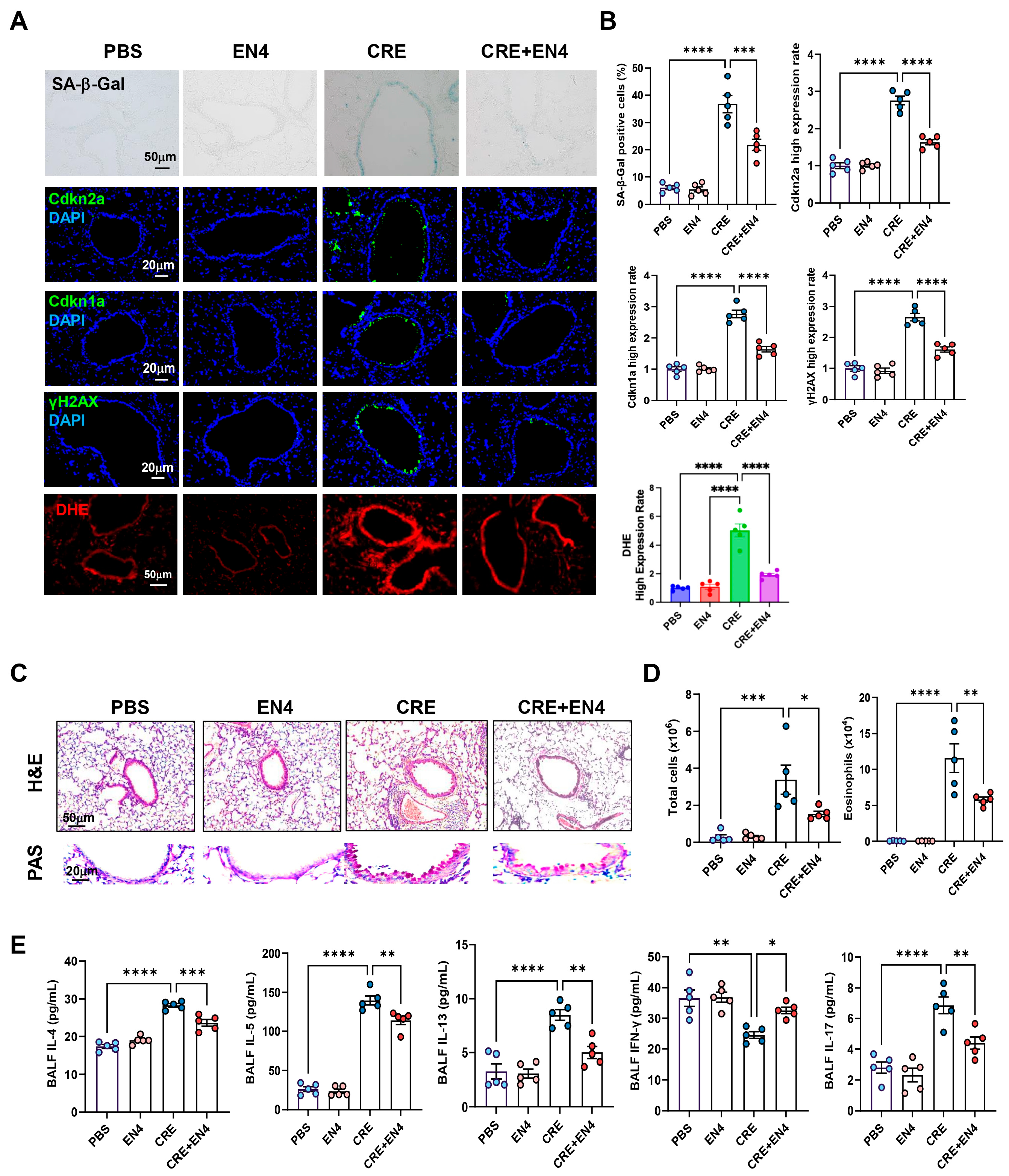 Antioxidants 15 00022 g008