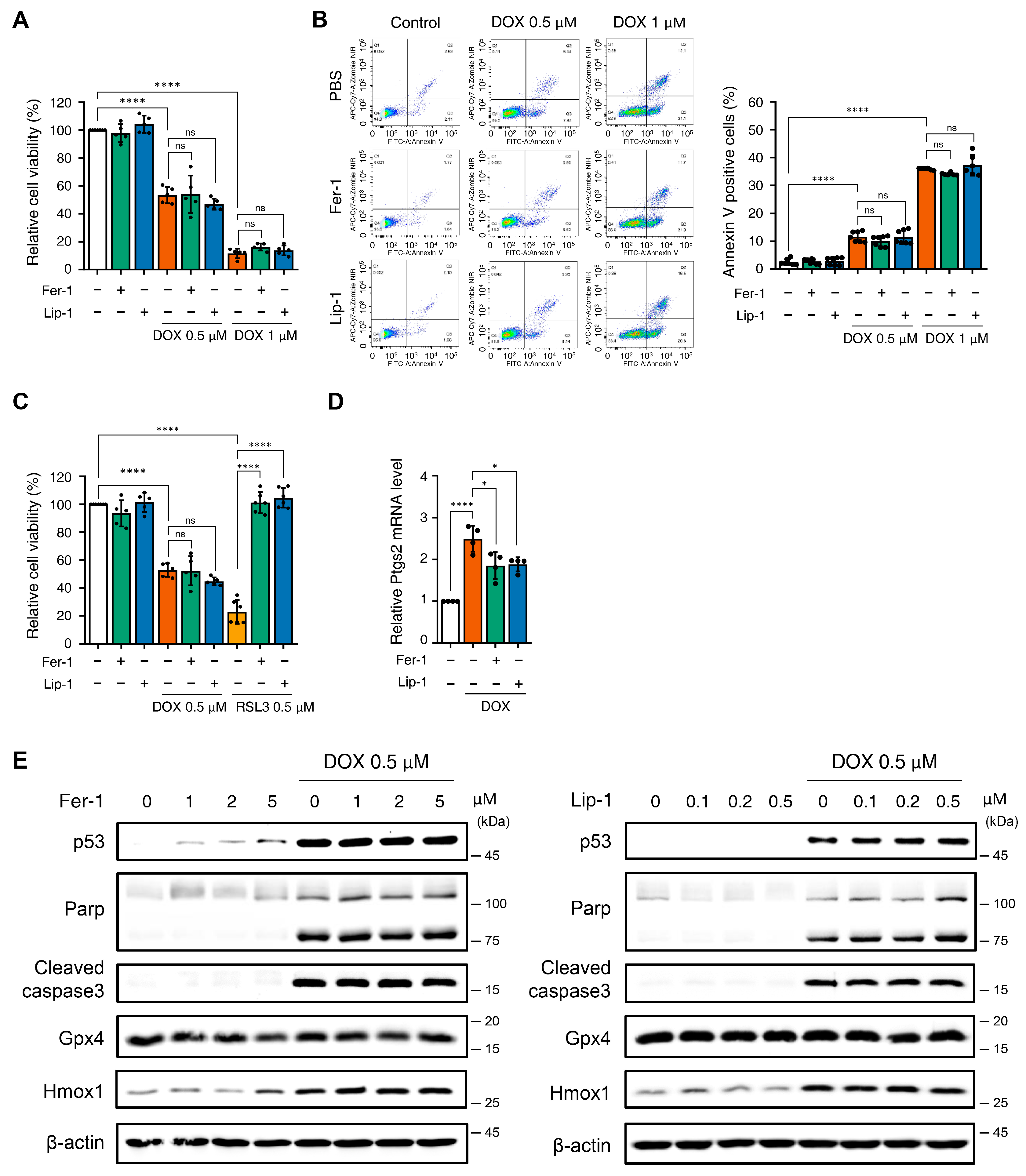Antioxidants 15 00027 g001