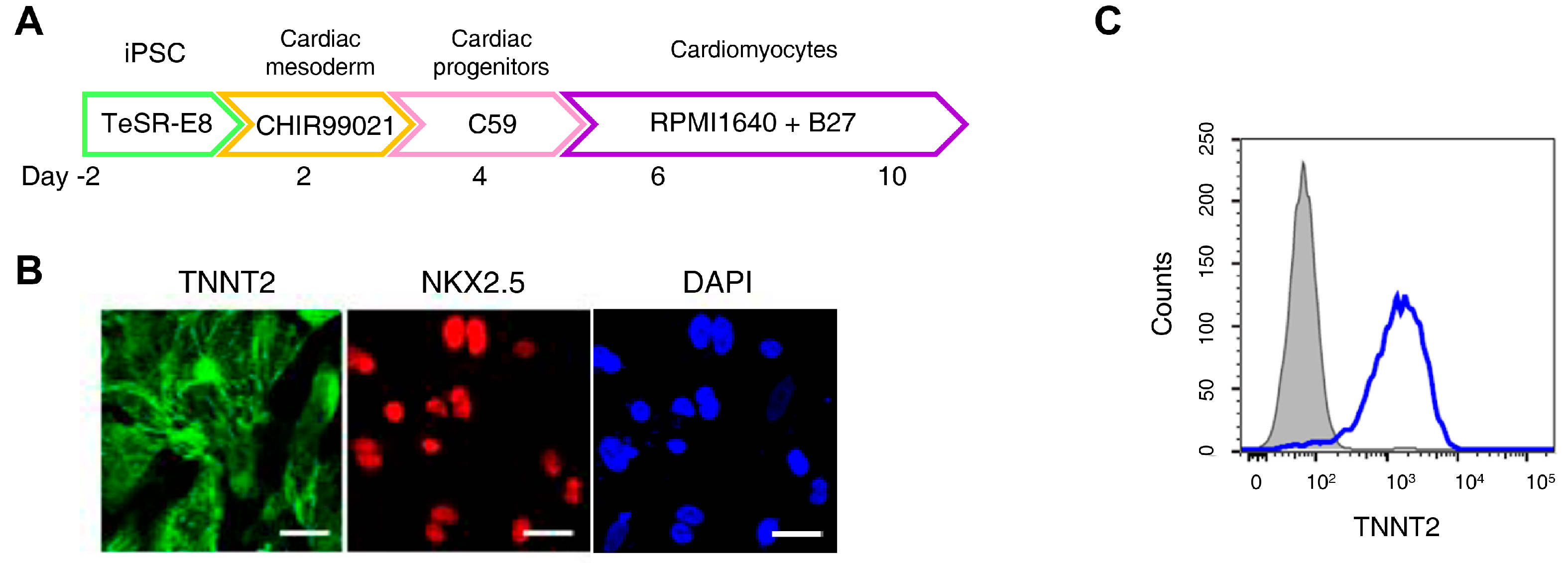 Antioxidants 15 00027 g002a