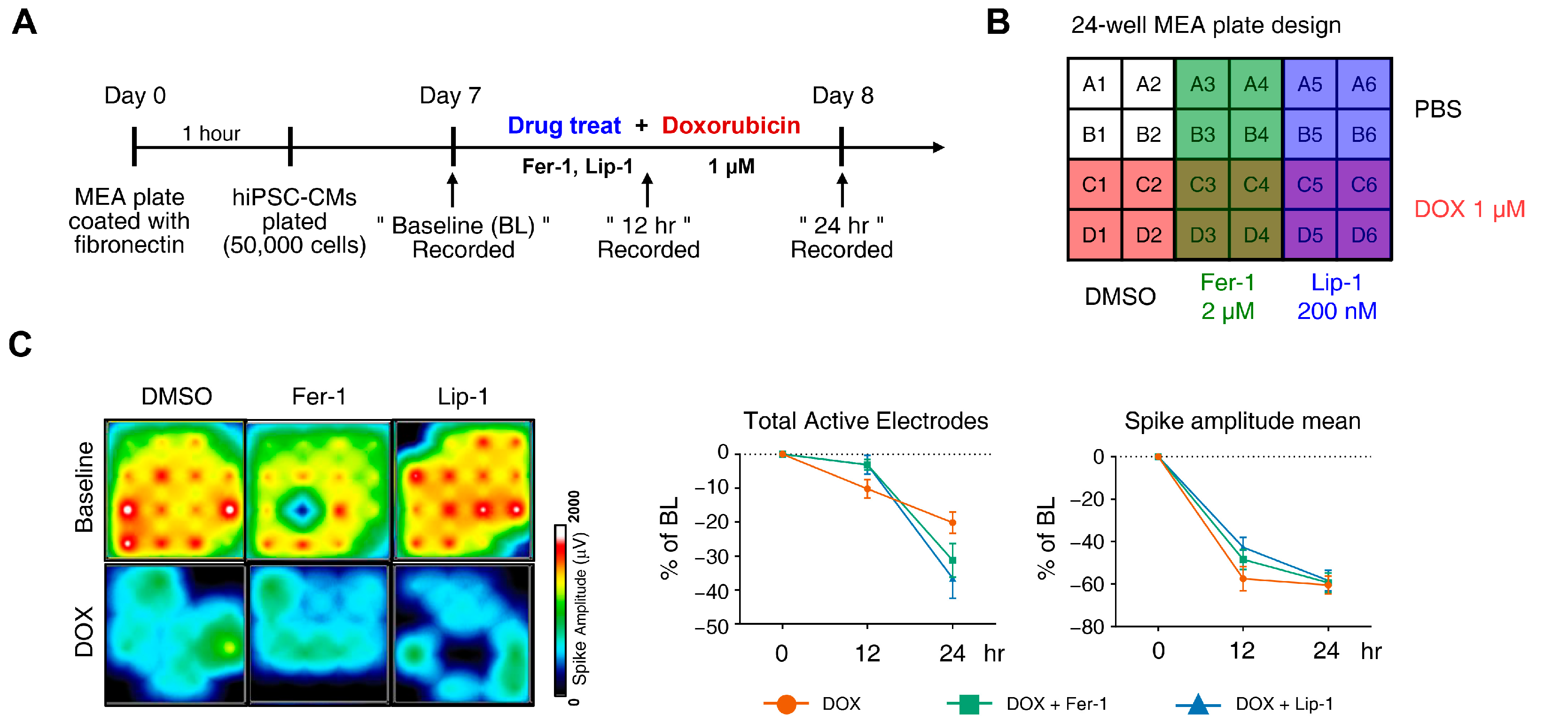 Antioxidants 15 00027 g003a