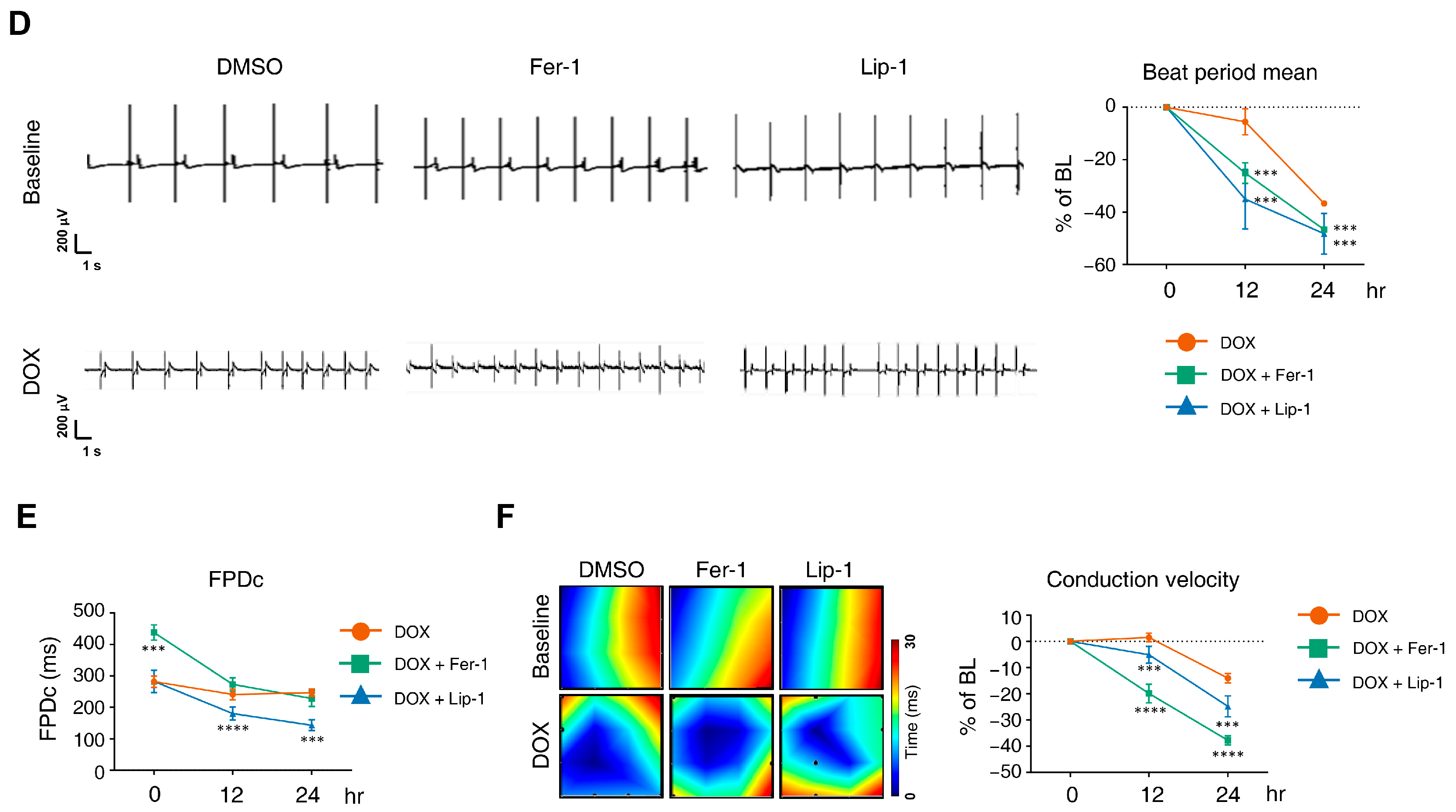 Antioxidants 15 00027 g003b