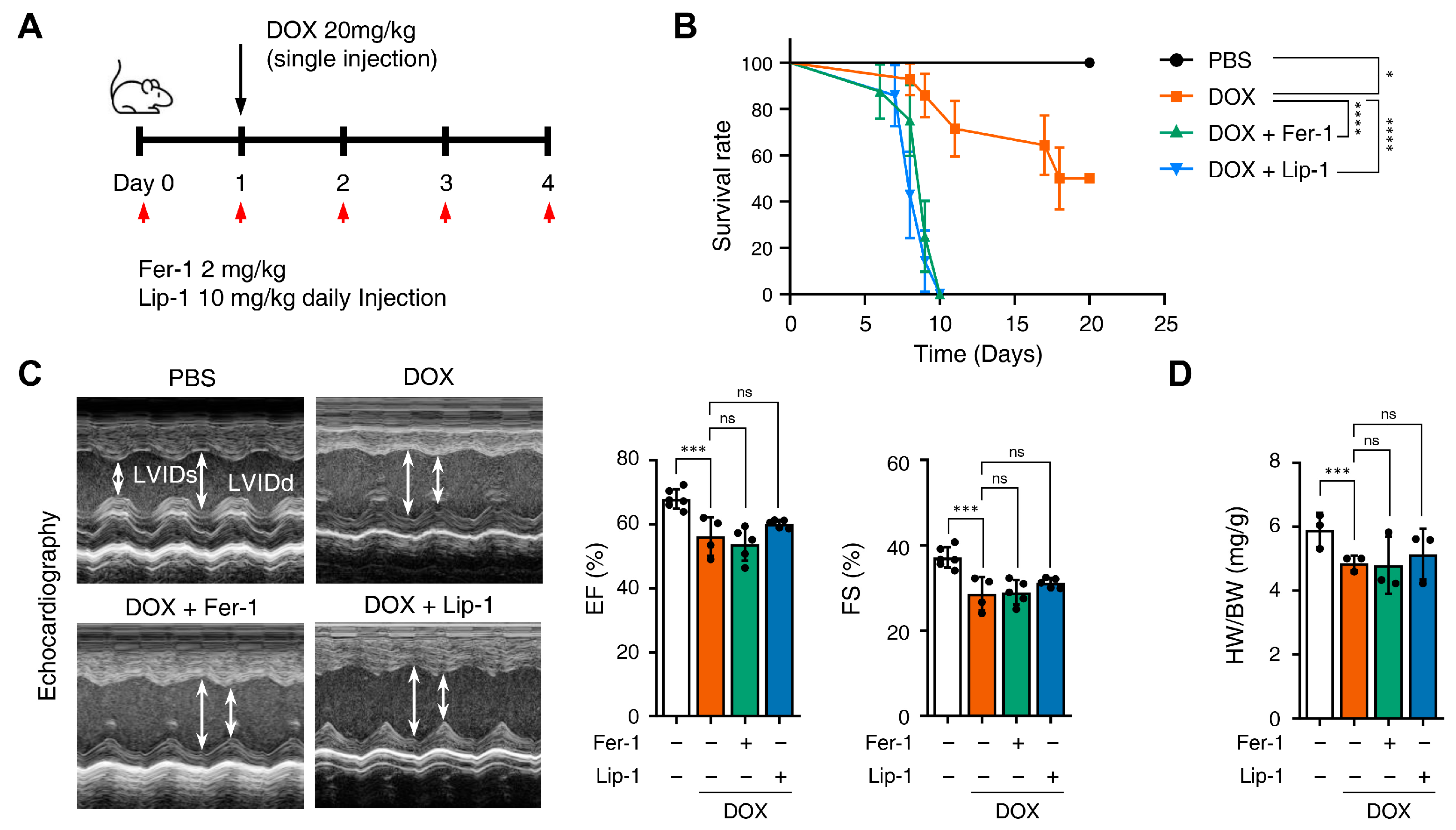 Antioxidants 15 00027 g004a