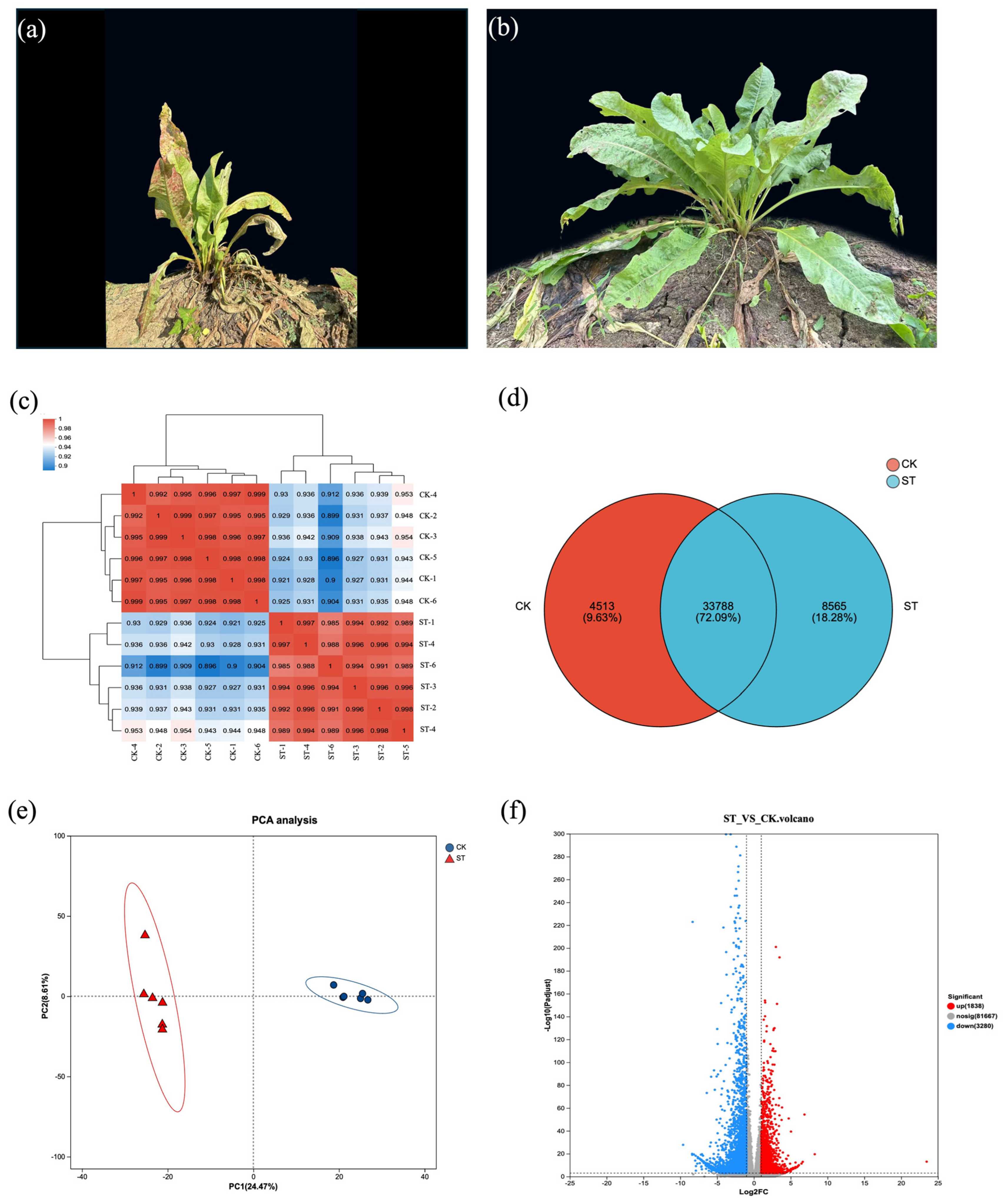 Antioxidants 15 00033 g002