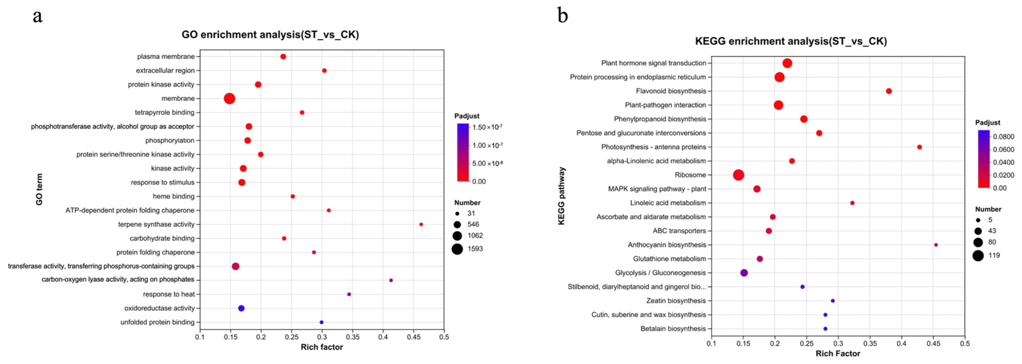 Antioxidants 15 00033 g003