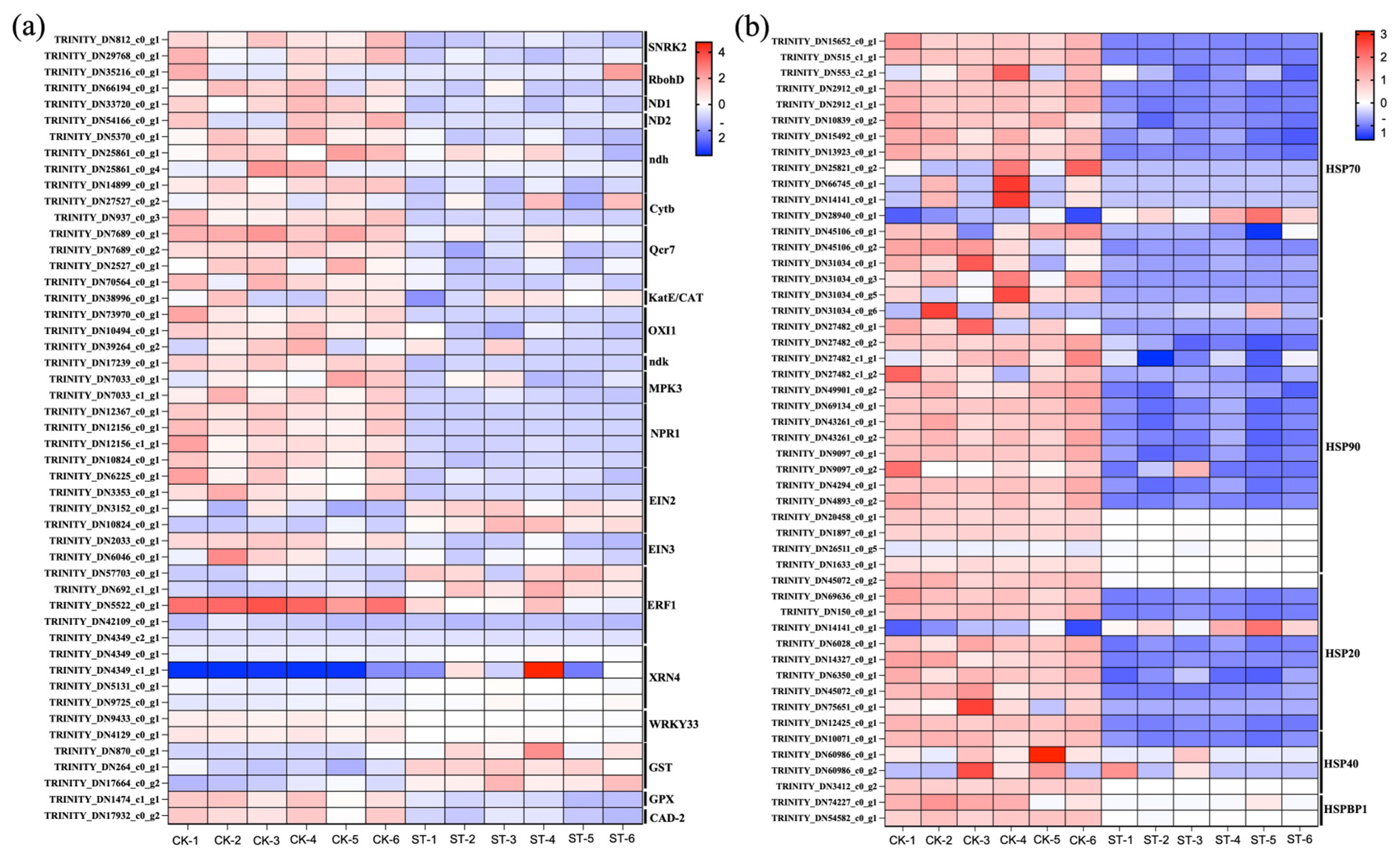 Antioxidants 15 00033 g004