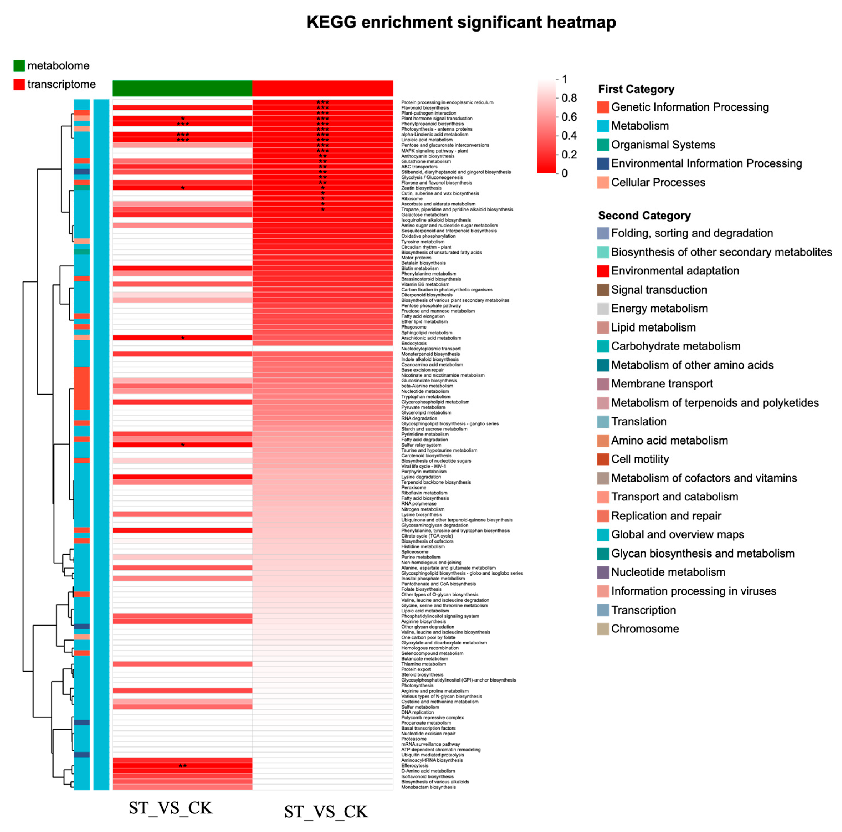 Antioxidants 15 00033 g007