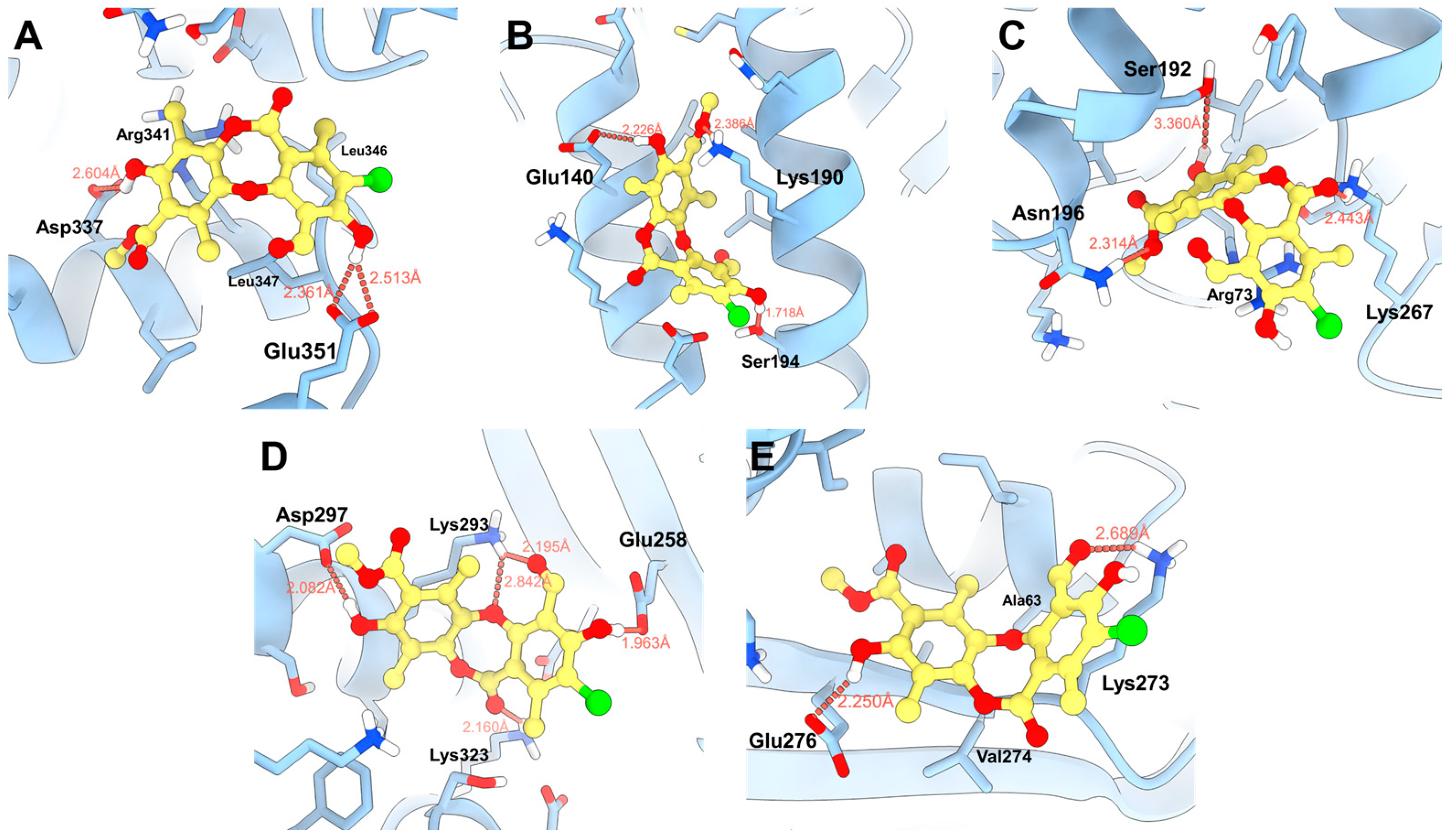 Antioxidants 15 00034 g007