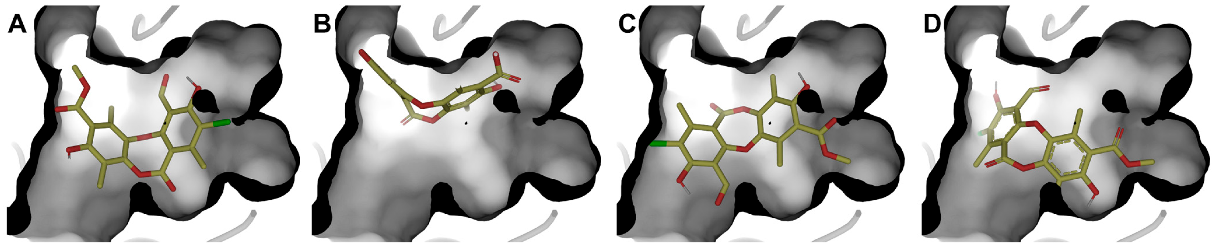 Antioxidants 15 00034 g008