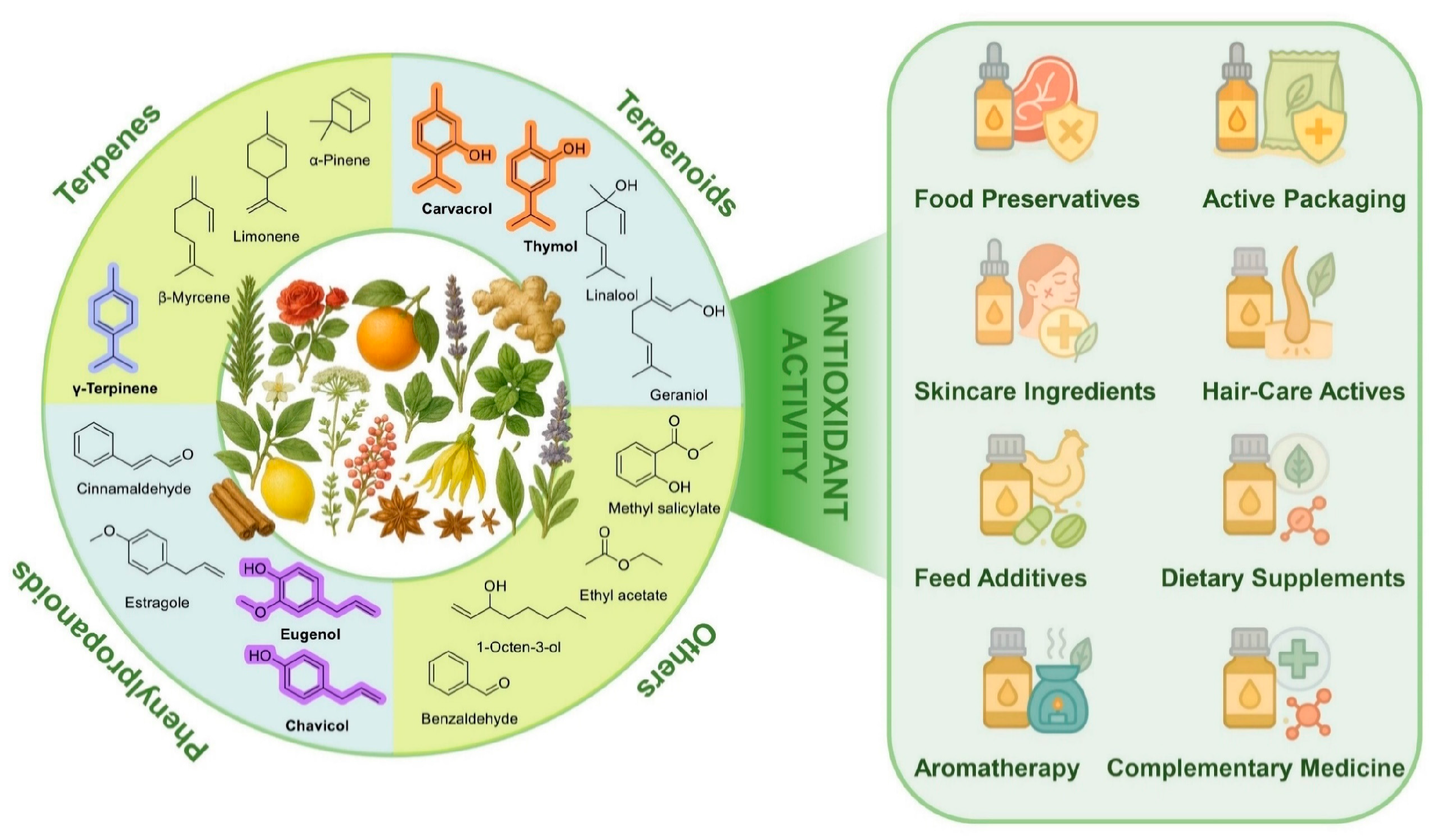 Antioxidants 15 00037 g001