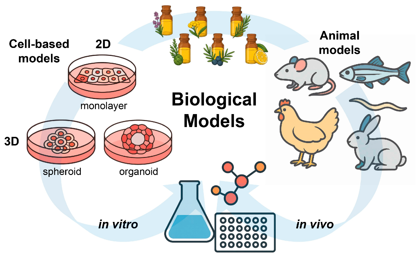 Antioxidants 15 00037 g004