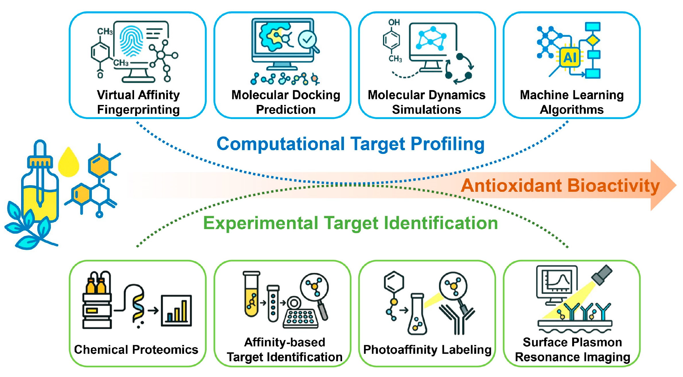Antioxidants 15 00037 g007
