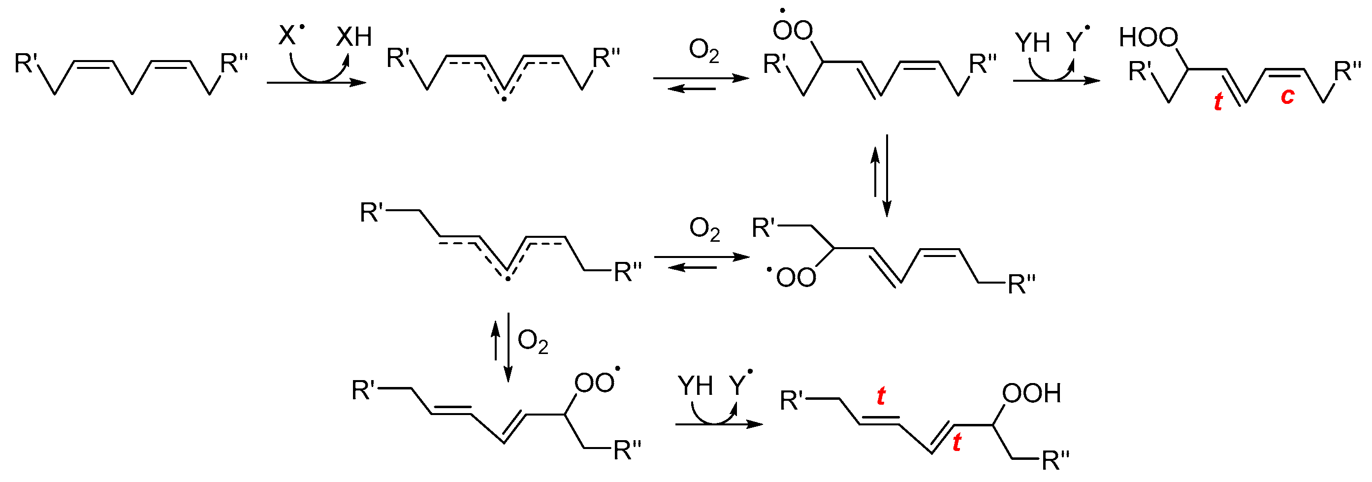 Antioxidants 15 00037 sch002