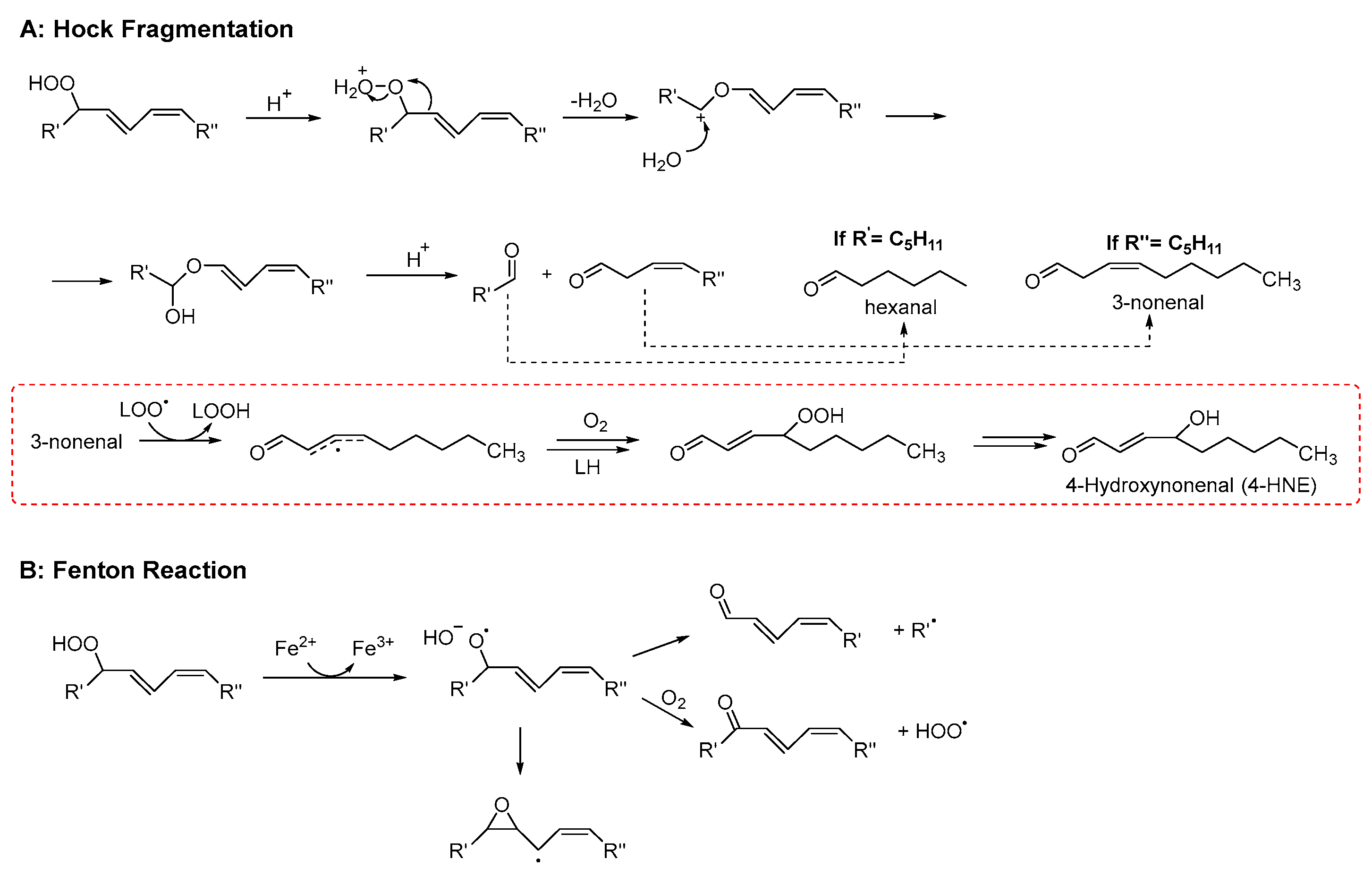 Antioxidants 15 00037 sch003