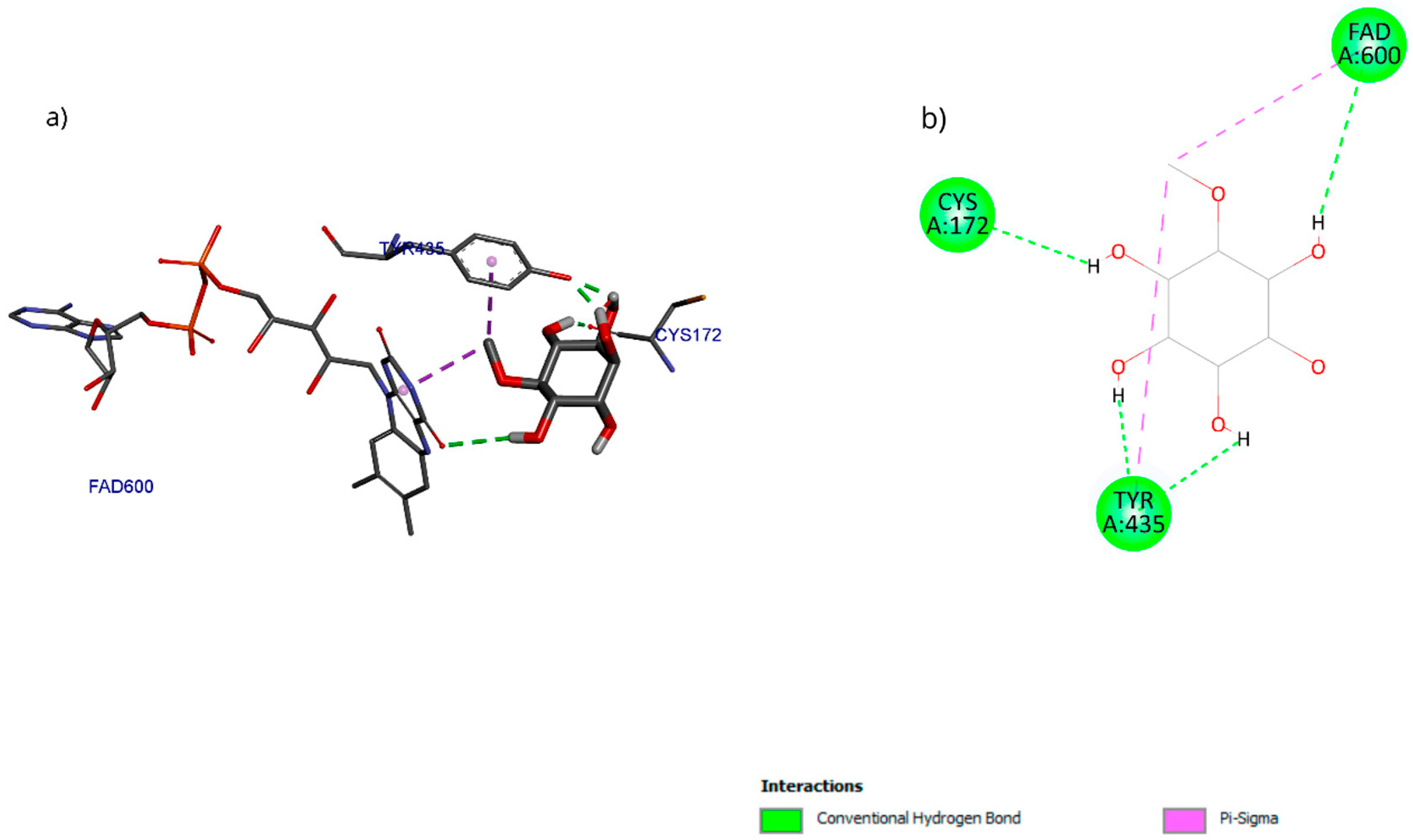 Antioxidants 15 00059 g017 Antioxidants 15 00059 g017