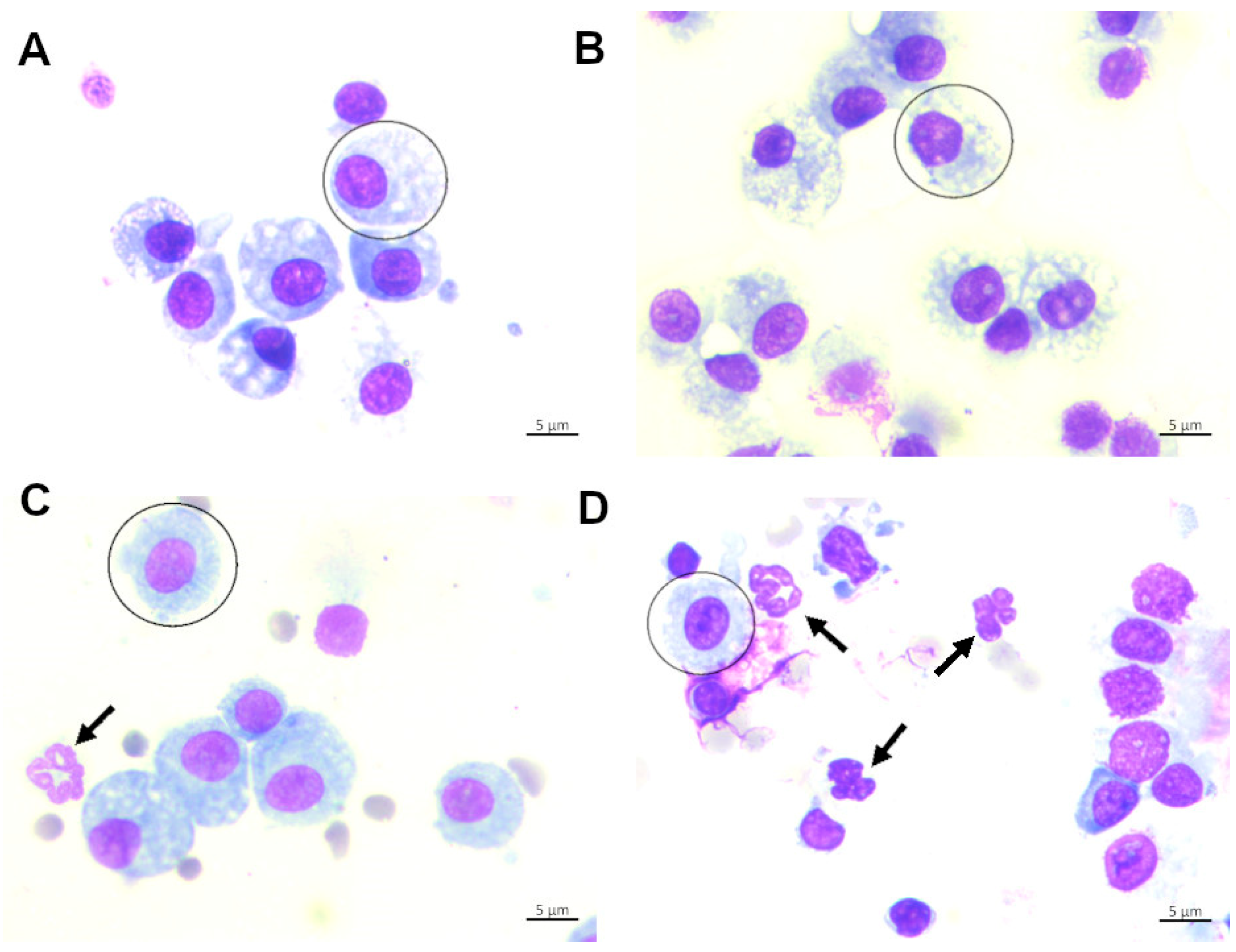 Antioxidants 15 00063 g004 Antioxidants 15 00063 g004