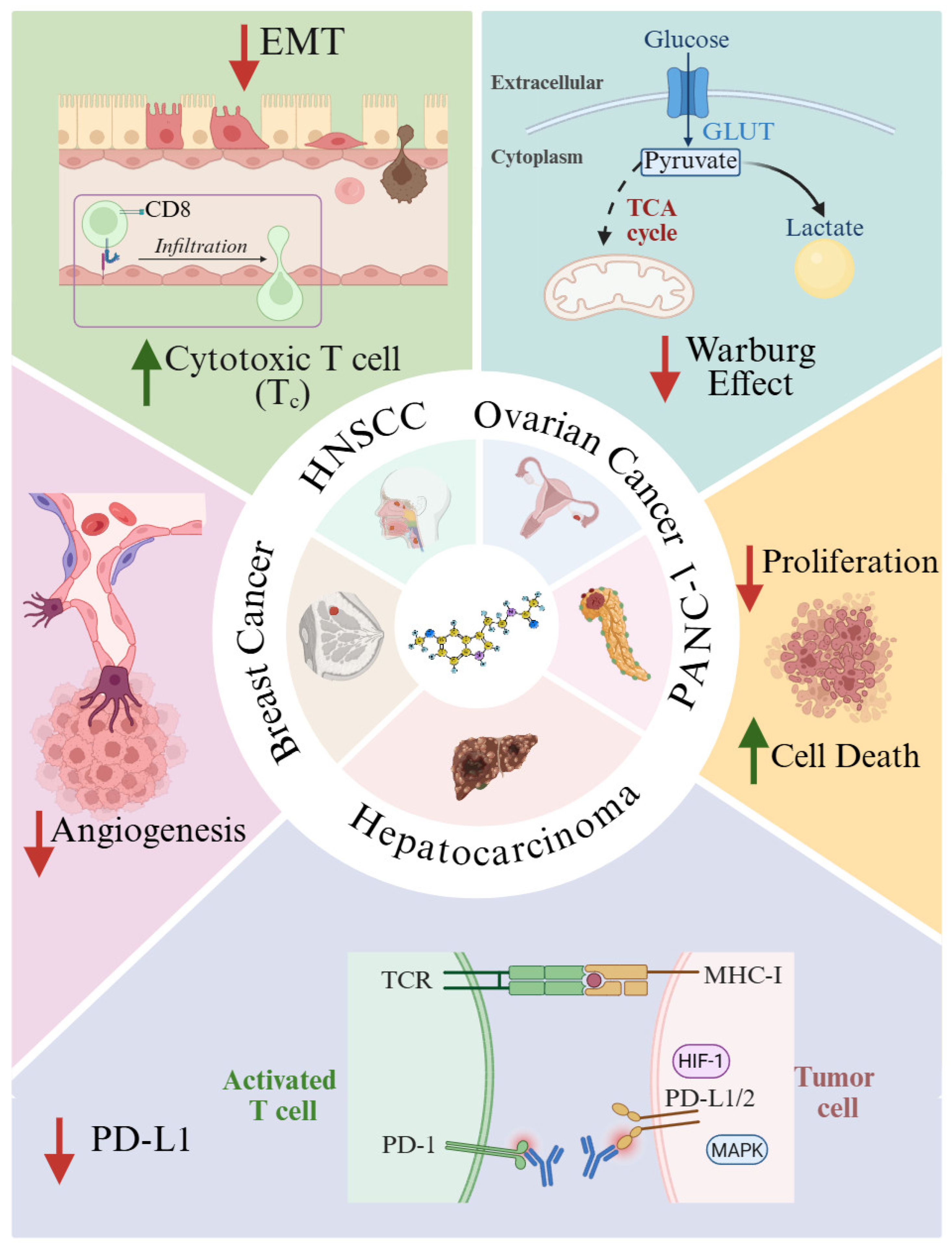 Antioxidants 15 00064 g002 Antioxidants 15 00064 g002