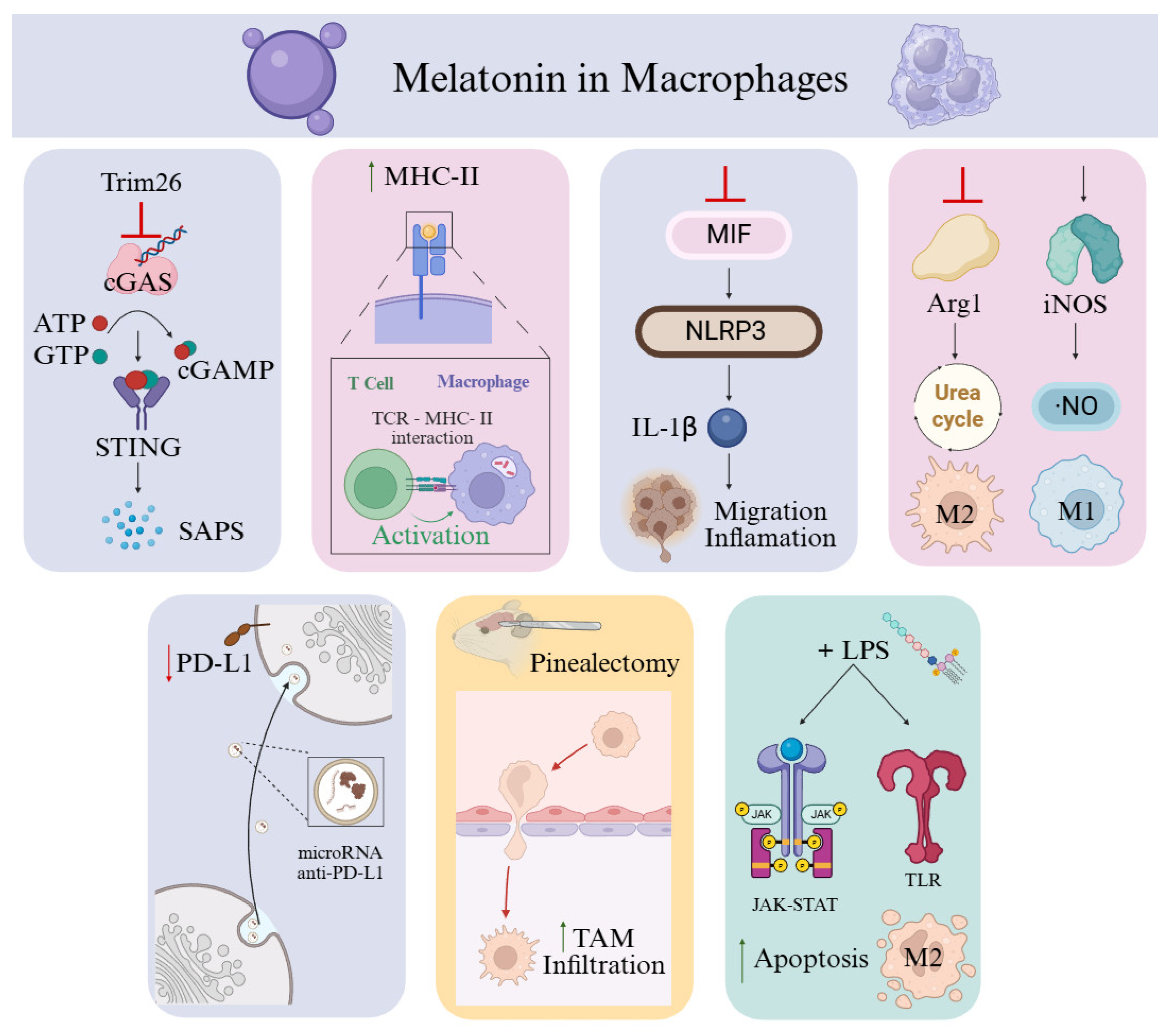 Antioxidants 15 00064 g003 Antioxidants 15 00064 g003
