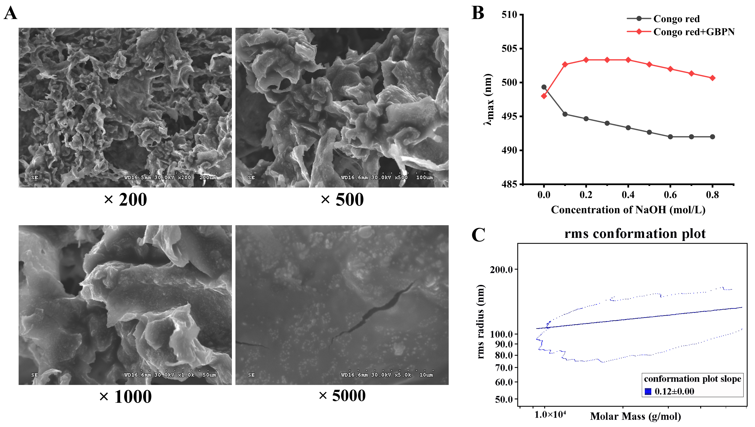 Antioxidants 15 00065 g002 Antioxidants 15 00065 g002